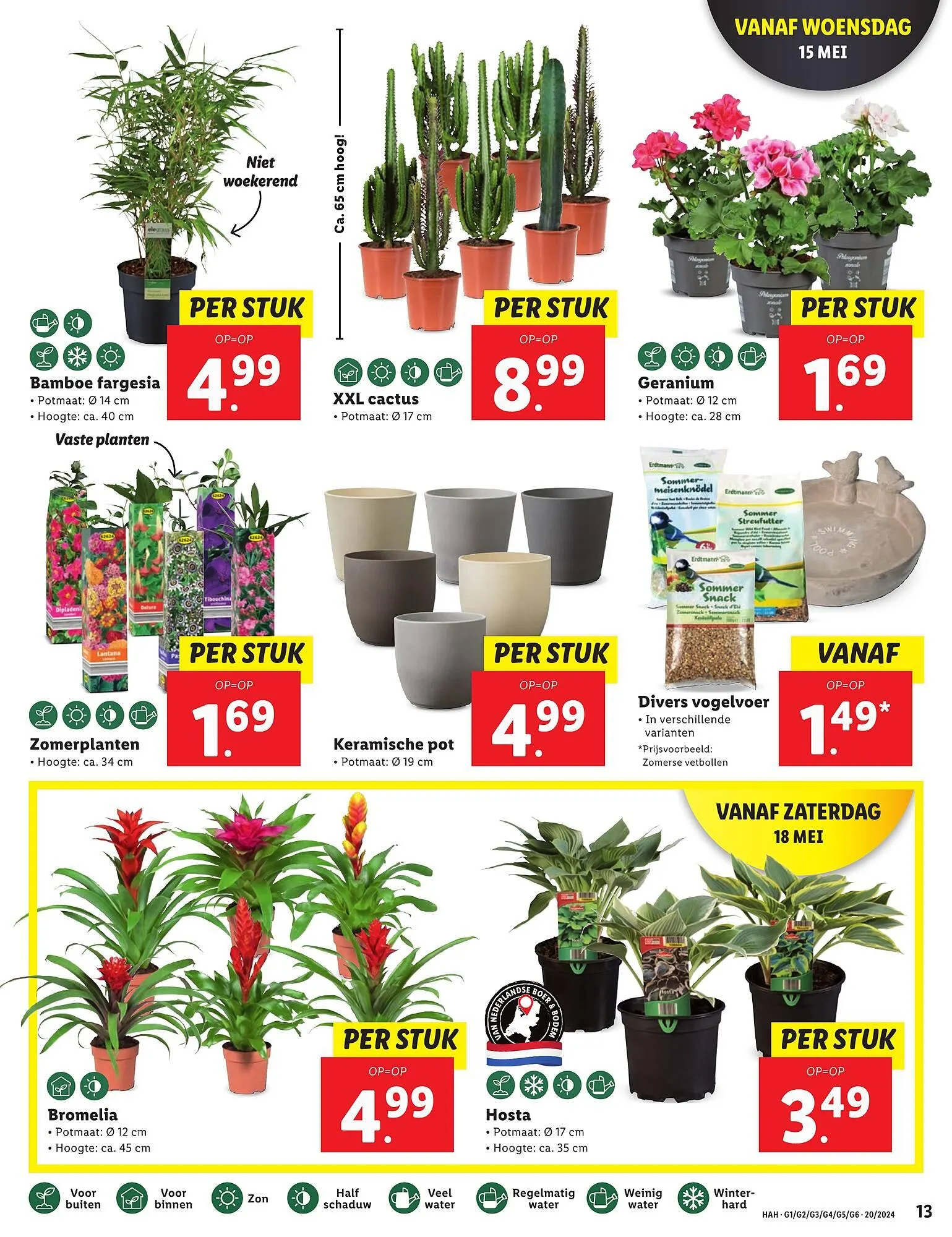 Lidl folder van 13 mei tot 19 mei 2024 - Folder pagina 15