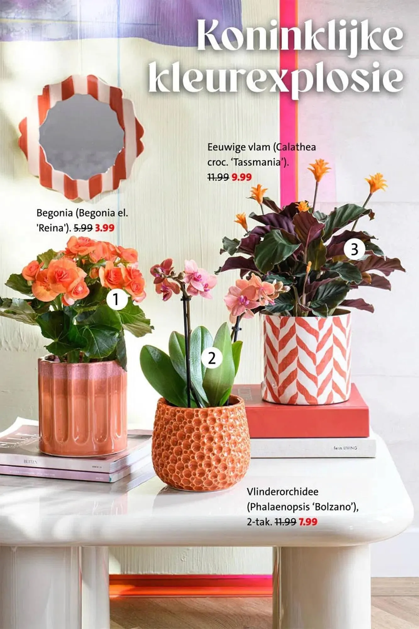 Intratuin folder van 20 april tot 26 april 2026 - Folder pagina 2