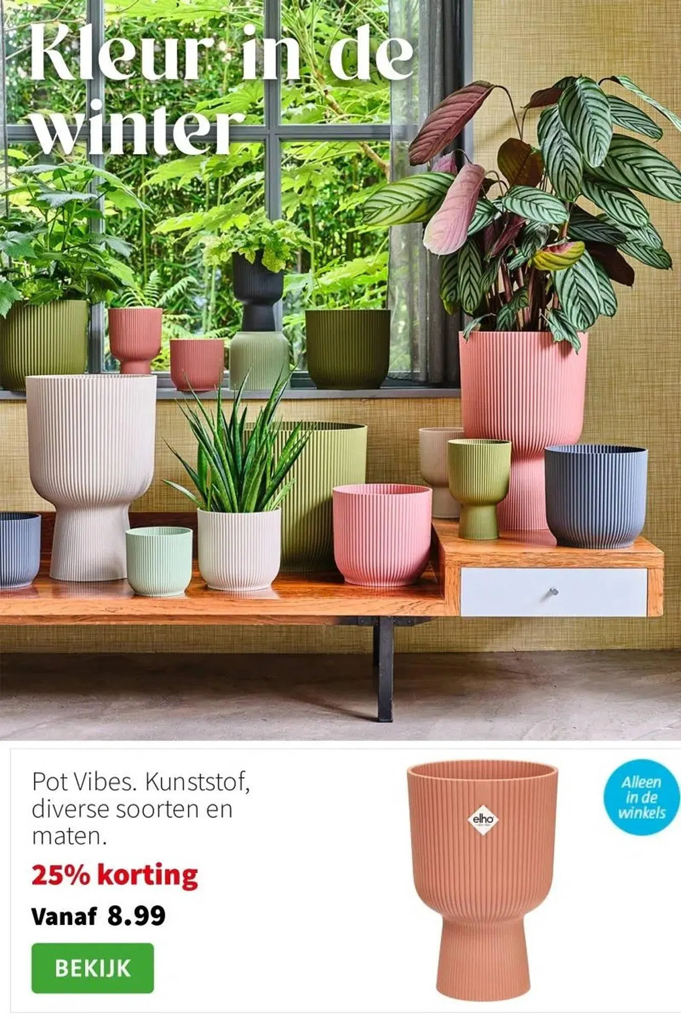 Intratuin folder van 19 januari tot 25 januari 2026 - Folder pagina 10