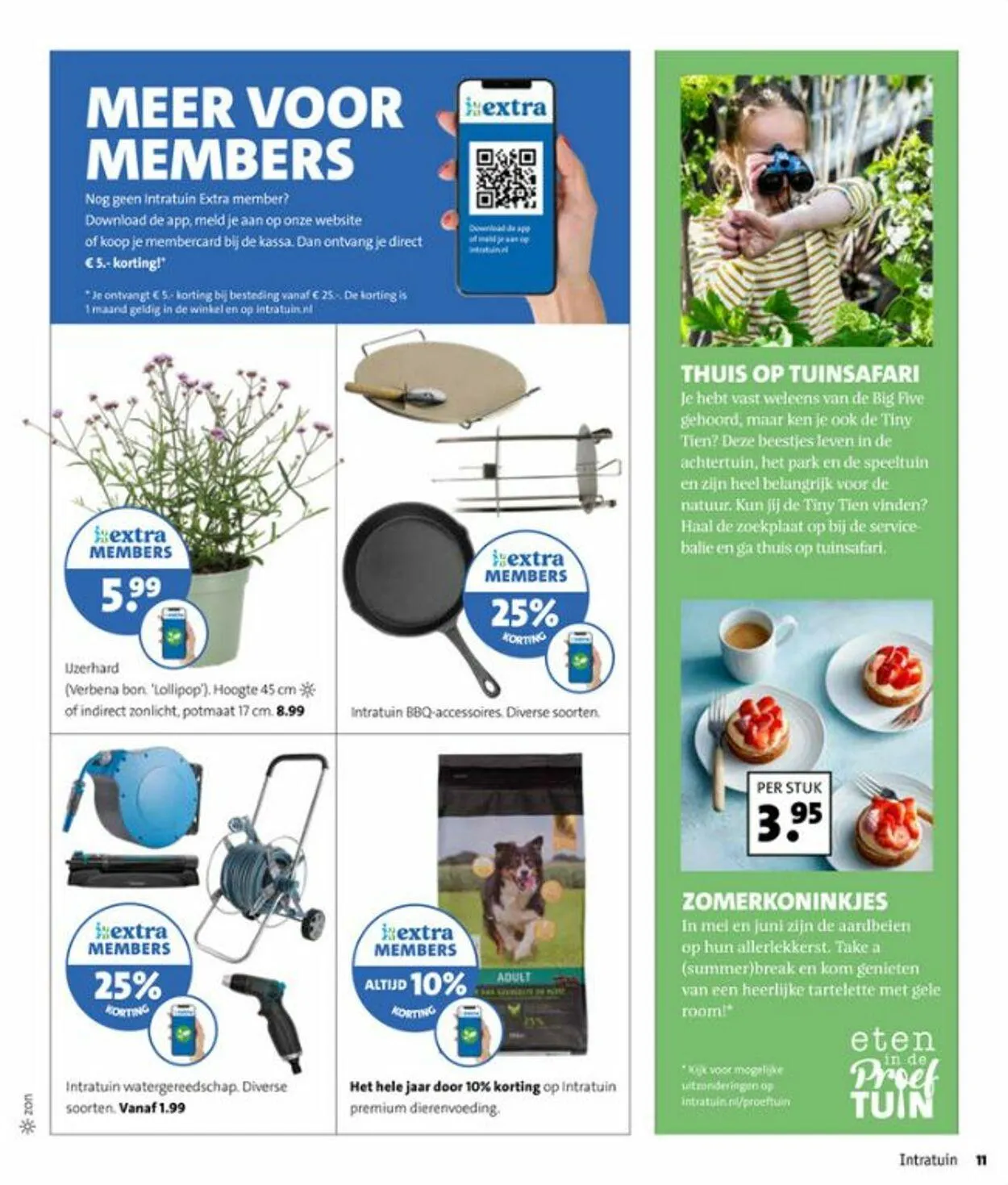 Intratuin van 19 mei tot 25 mei 2025 - Folder pagina 11