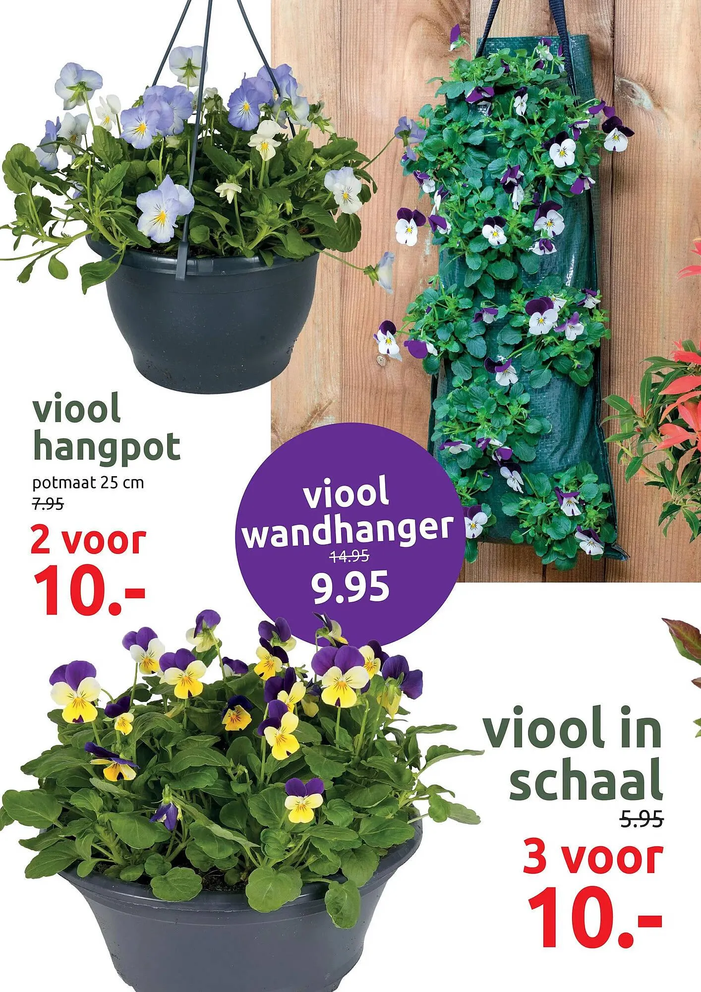 Deka Tuin folder van 29 september tot 12 oktober 2025 - Folder pagina 6