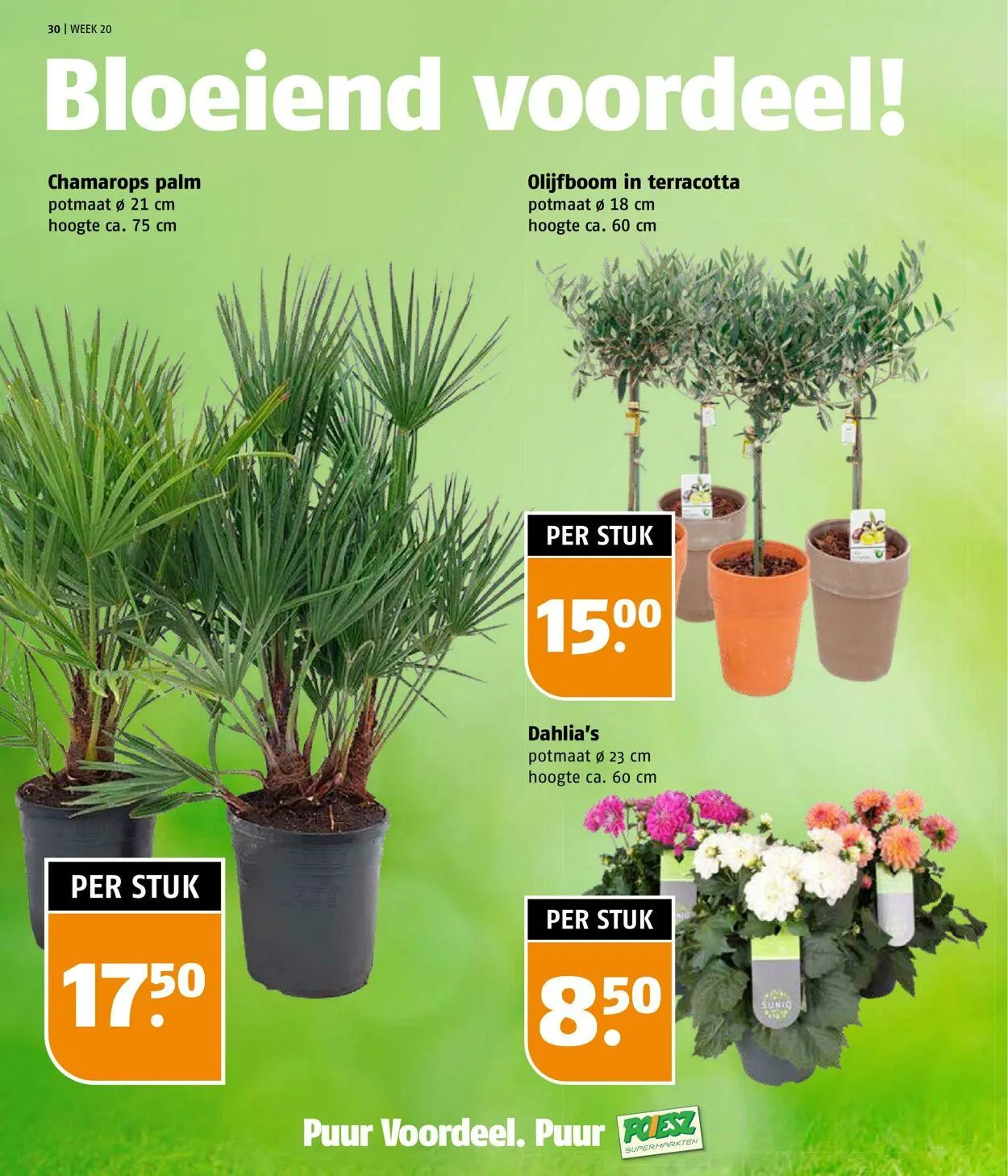 Poiesz Actuele folder van 12 mei tot 18 mei 2025 - Folder pagina 30