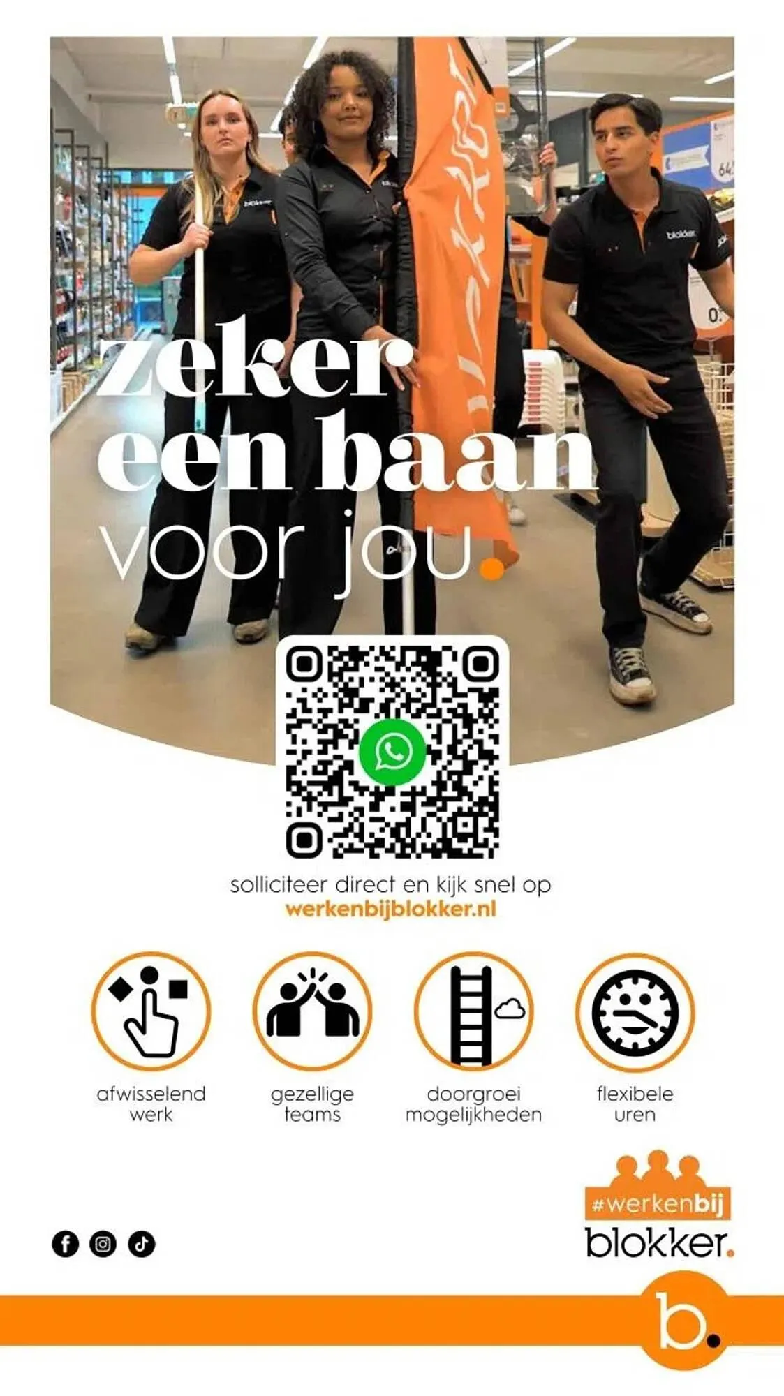 Blokker folder van 1 oktober tot 29 november 2024 - Folder pagina 41