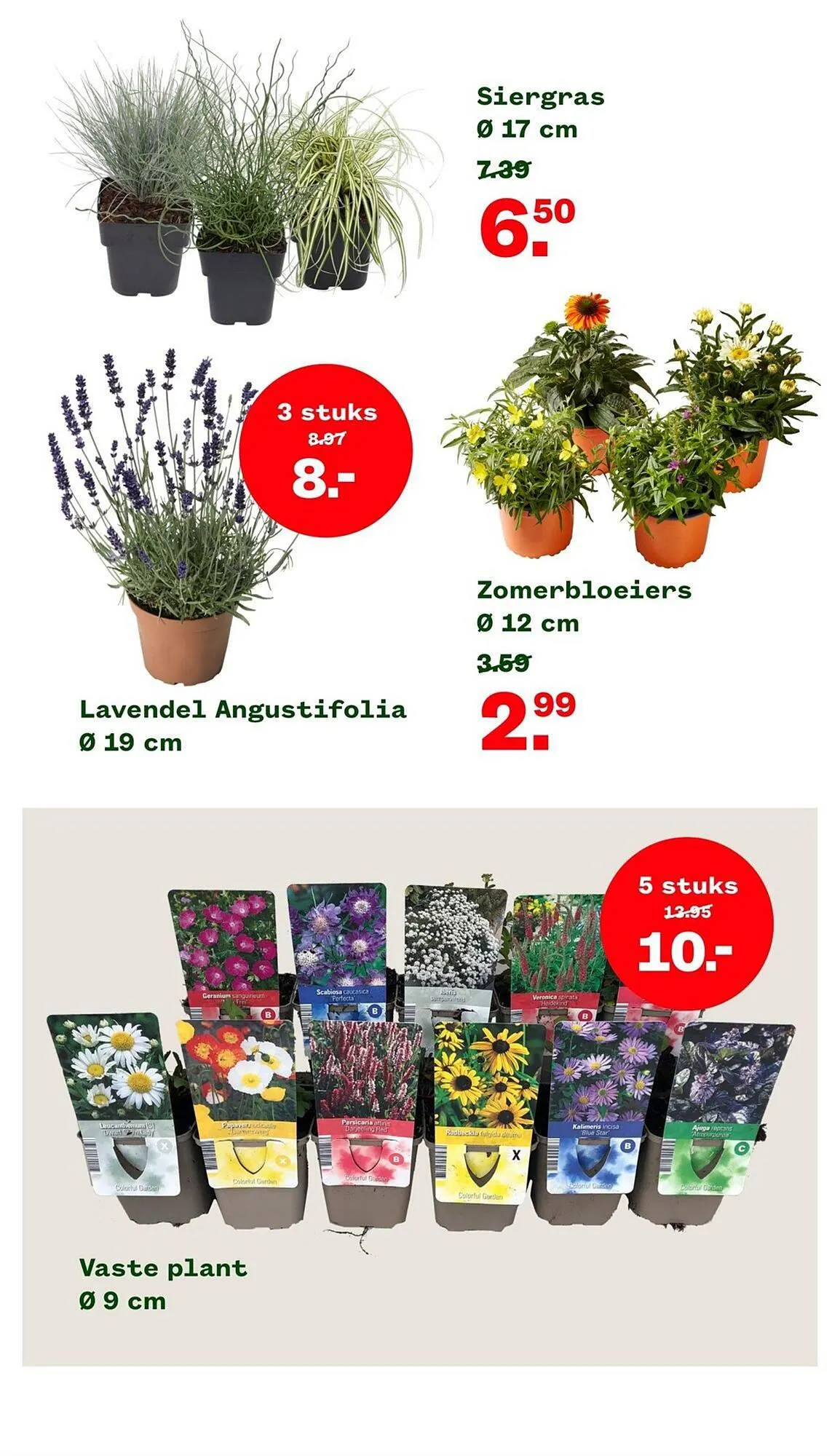 Welkoop folder van 4 september tot 24 september 2023 - Folder pagina 6