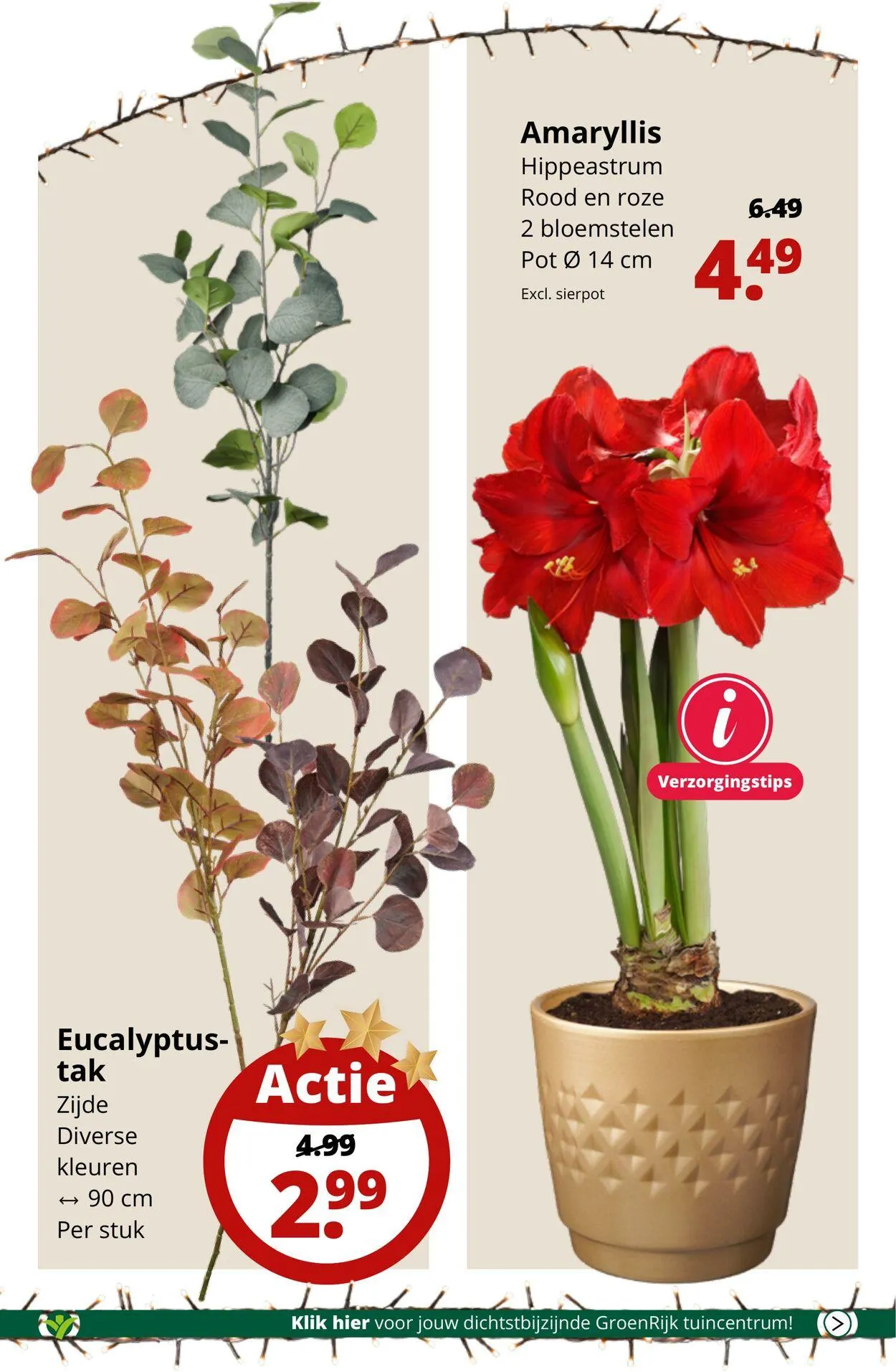 GroenRijk Actuele folder van 15 april tot 29 april 2025 - Folder pagina 6