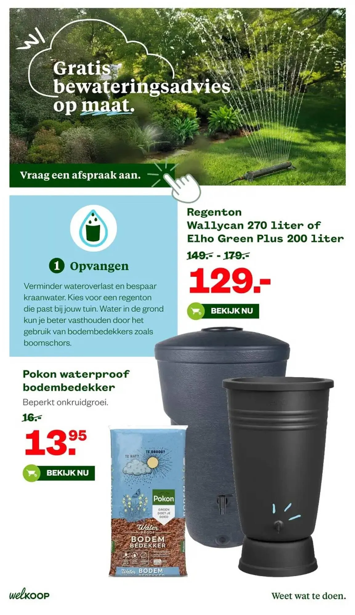 Welkoop folder van 11 mei tot 24 mei 2026 - Folder pagina 3