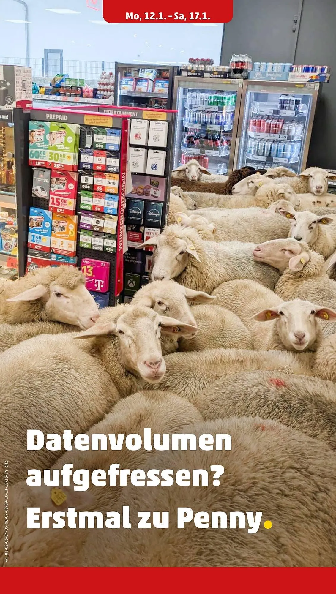 PENNY DE folder van 12 januari tot 17 januari 2026 - Folder pagina 24