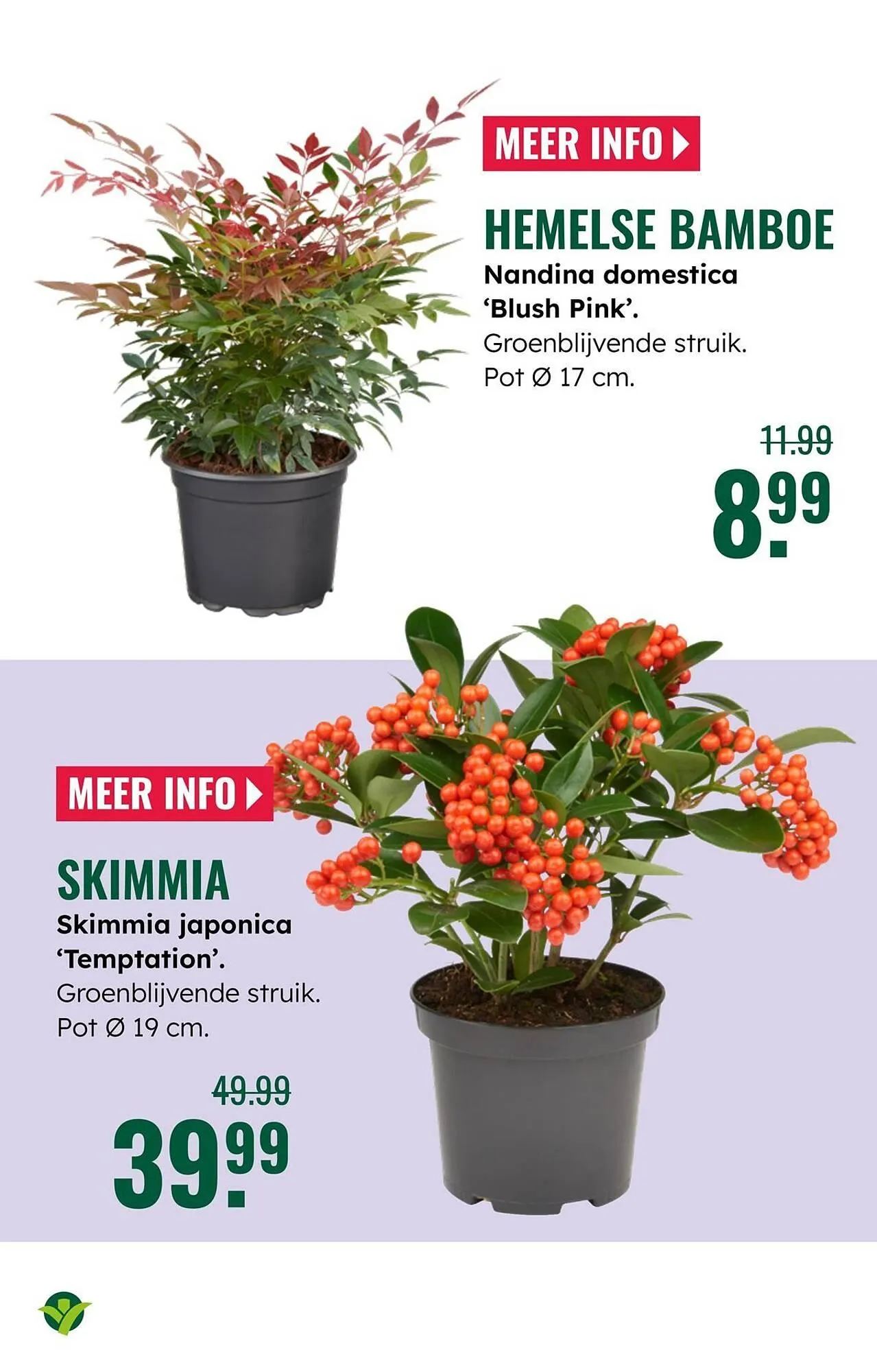 GroenRijk folder van 22 oktober tot 28 oktober 2025 - Folder pagina 12