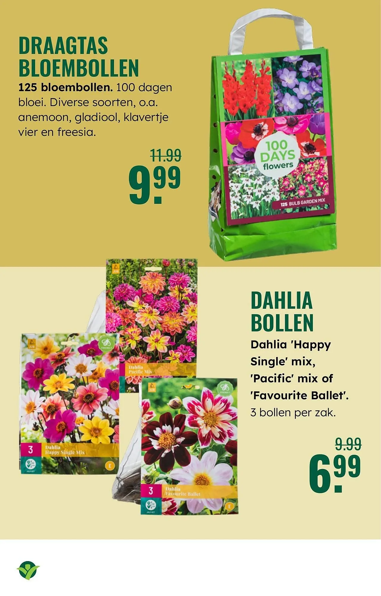 GroenRijk folder van 19 maart tot 25 maart 2026 - Folder pagina 17