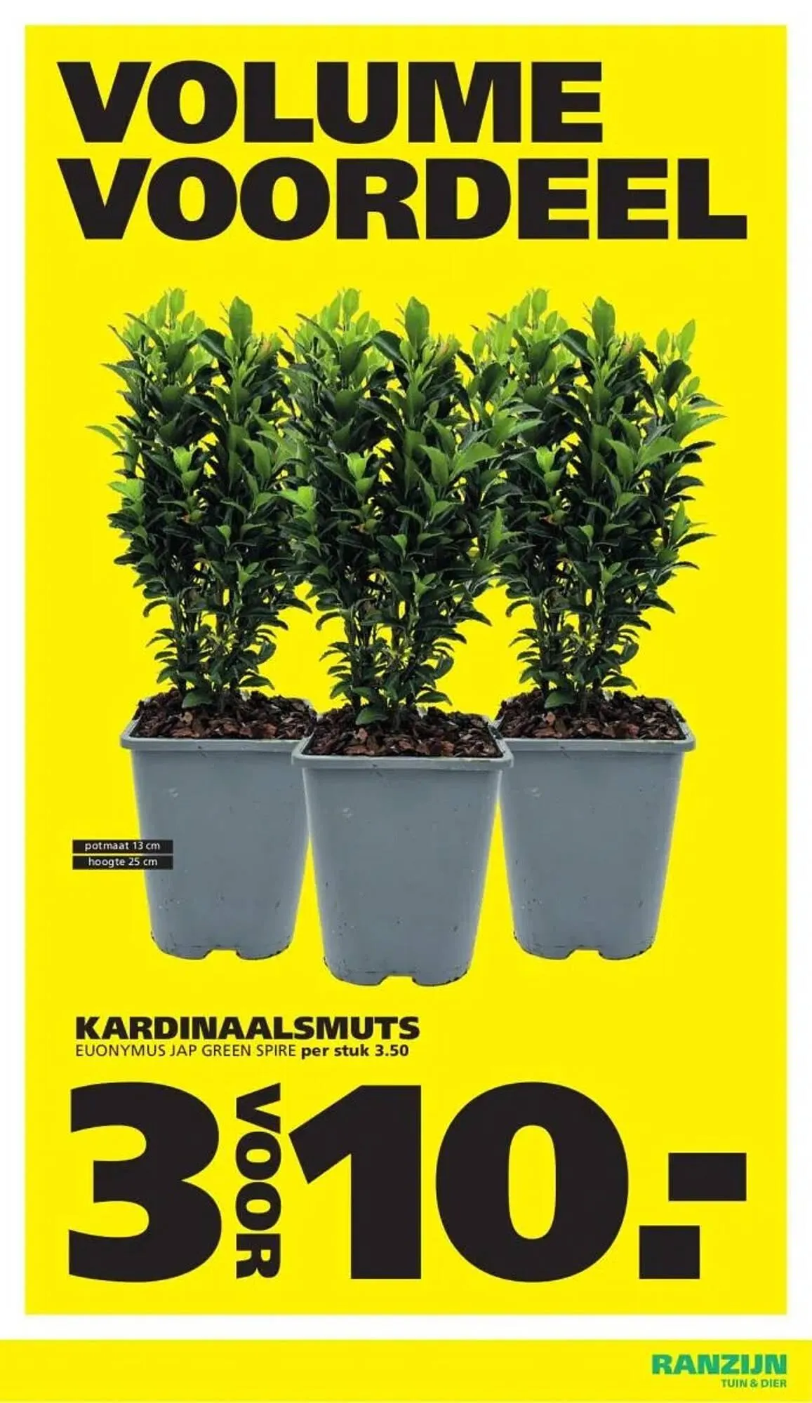 Ranzijn folder van 22 februari tot 7 maart 2026 - Folder pagina 3