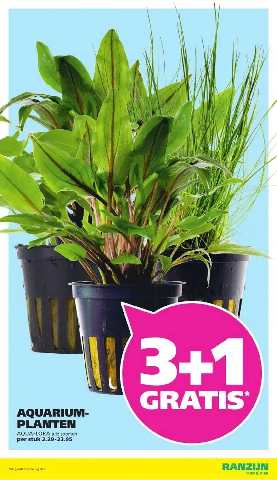 Ranzijn folder van 21 december tot 3 januari 2026 - Folder pagina 7