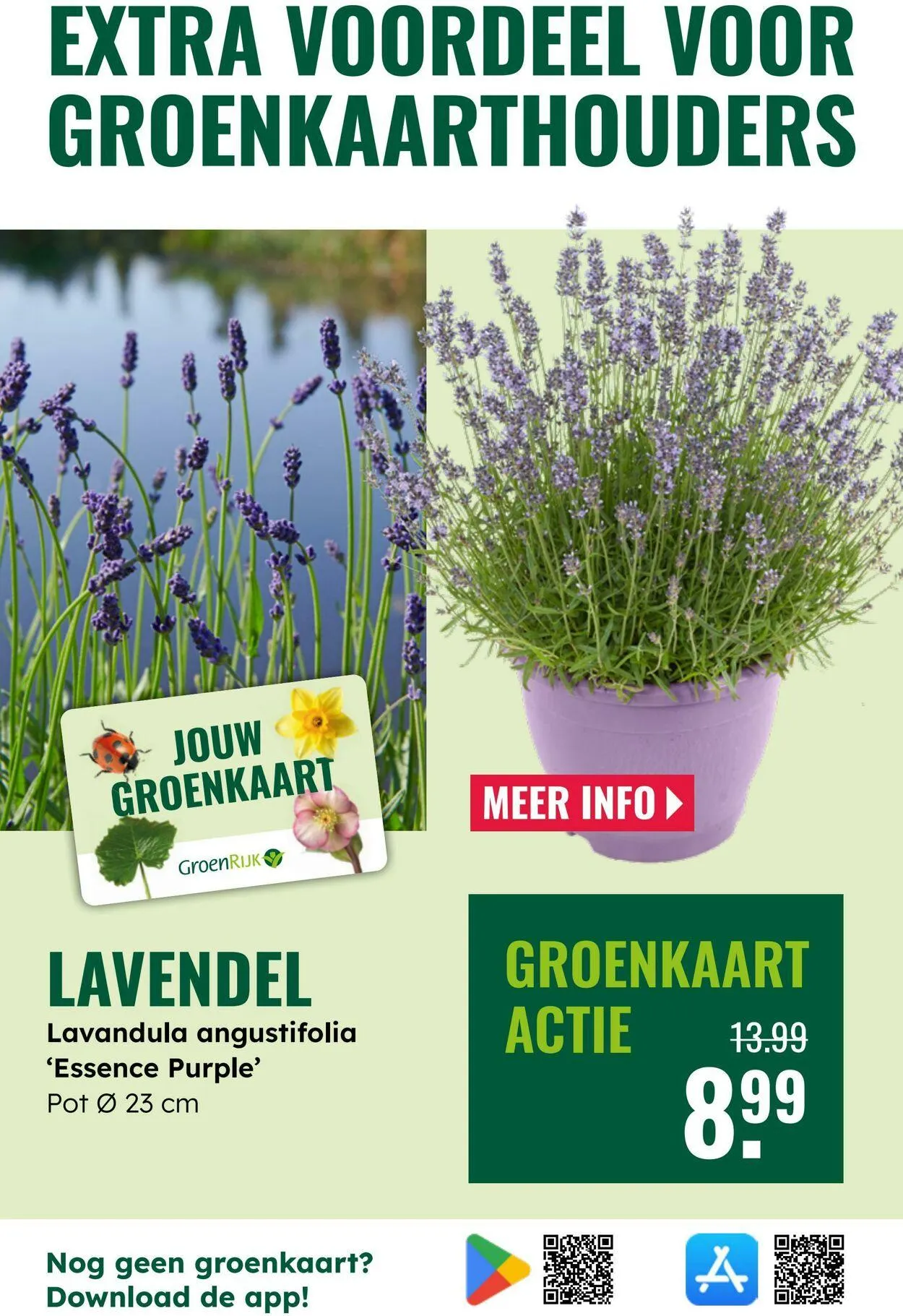 GroenRijk Actuele folder van 2 september tot 16 september 2025 - Folder pagina 9