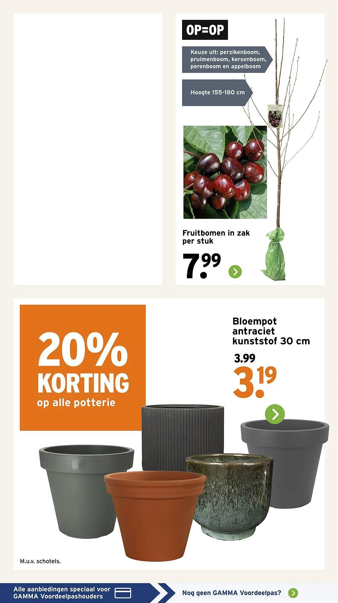 GAMMA folder van 9 maart tot 15 maart 2026 - Folder pagina 9