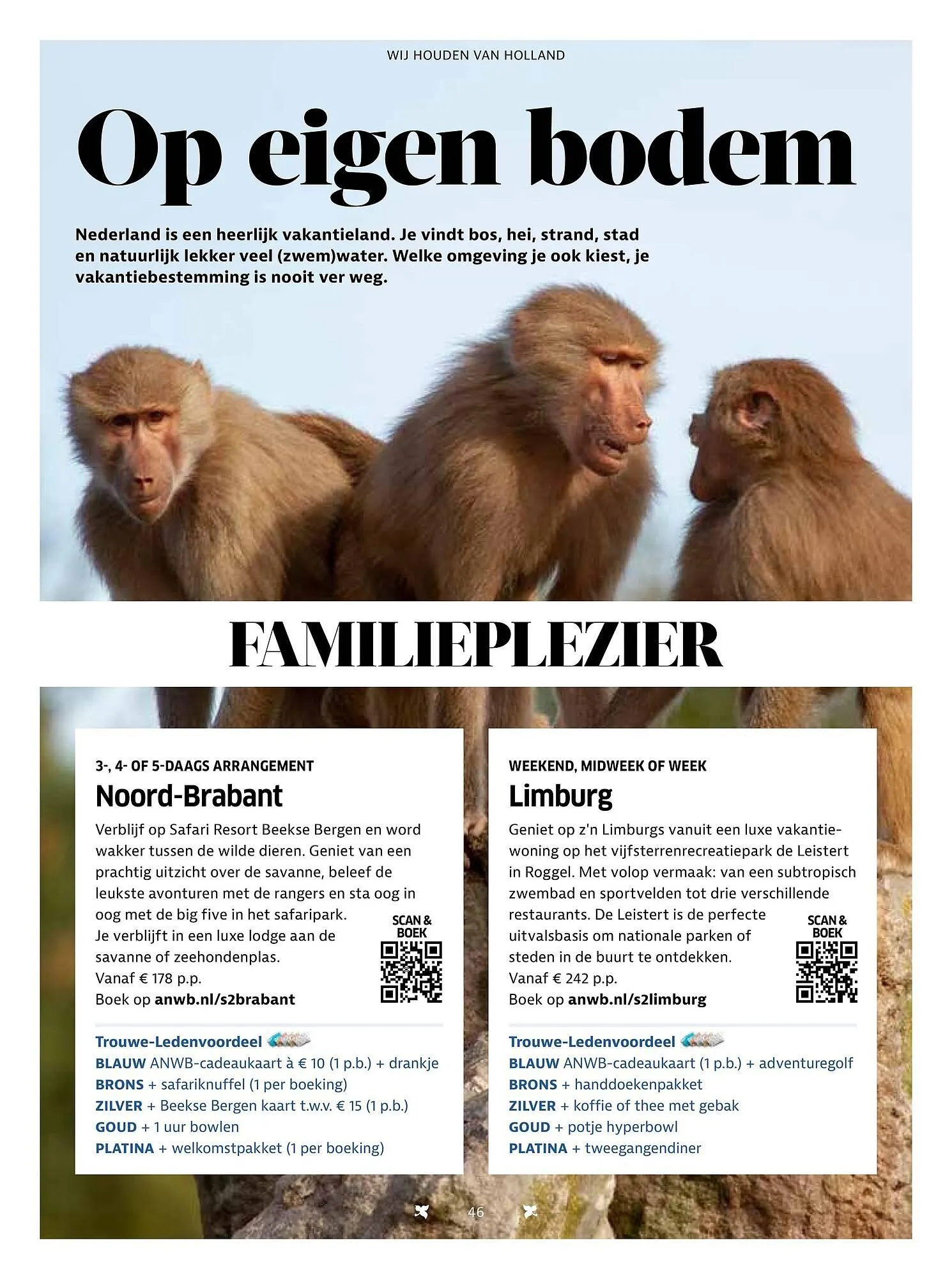 ANWB folder van 15 november tot 31 december 2025 - Folder pagina 46