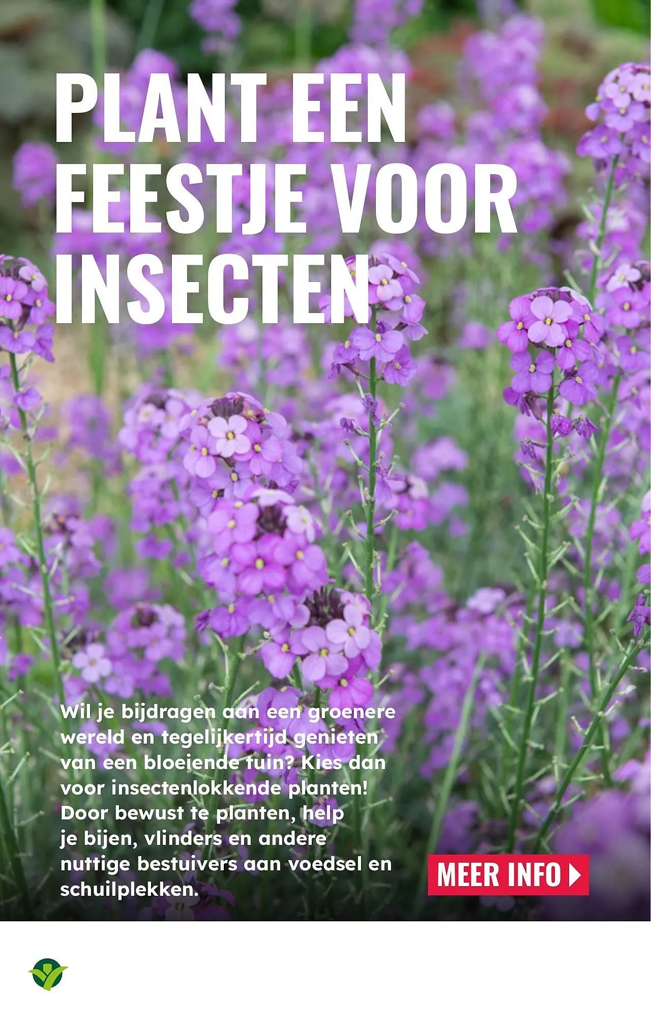 GroenRijk folder van 26 maart tot 1 april 2025 - Folder pagina 10