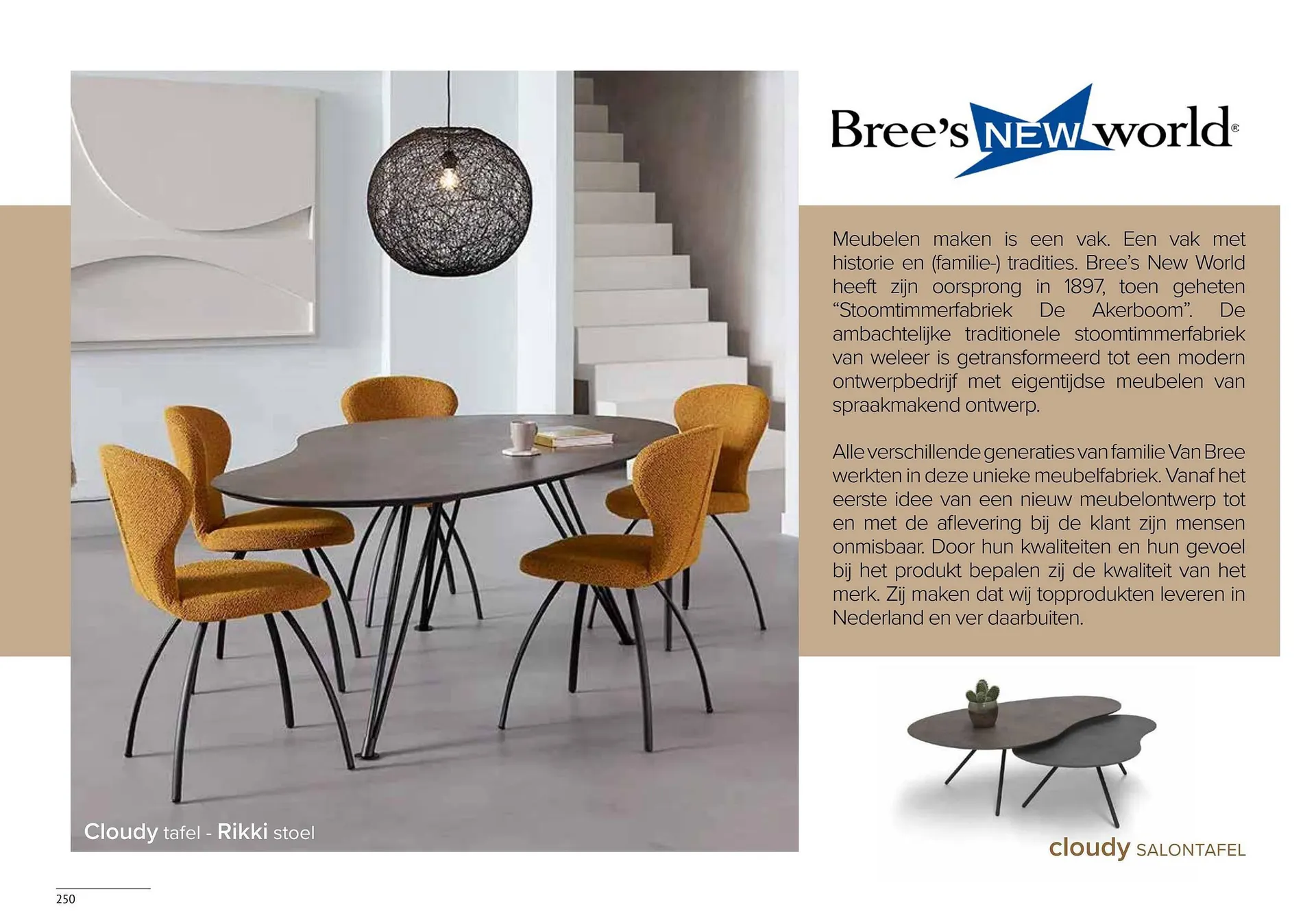 Donjon folder van 1 maart tot 29 februari 2024 - Folder pagina 252