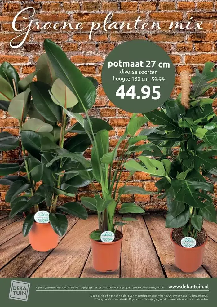 Januari kleurt groen van 8 januari tot 12 januari 2025 - Folder pagina 4