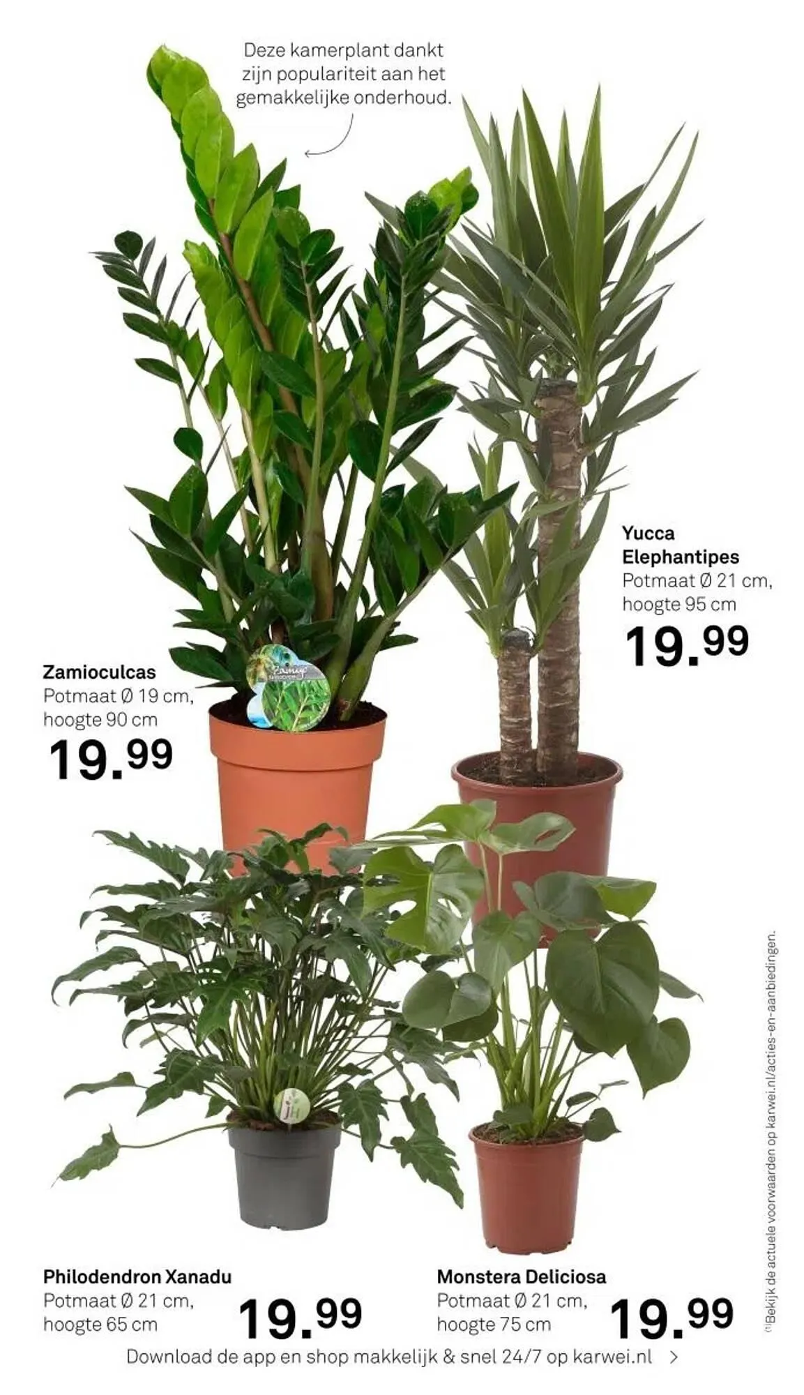 Karwei folder van 3 maart tot 31 december 2025 - Folder pagina 29