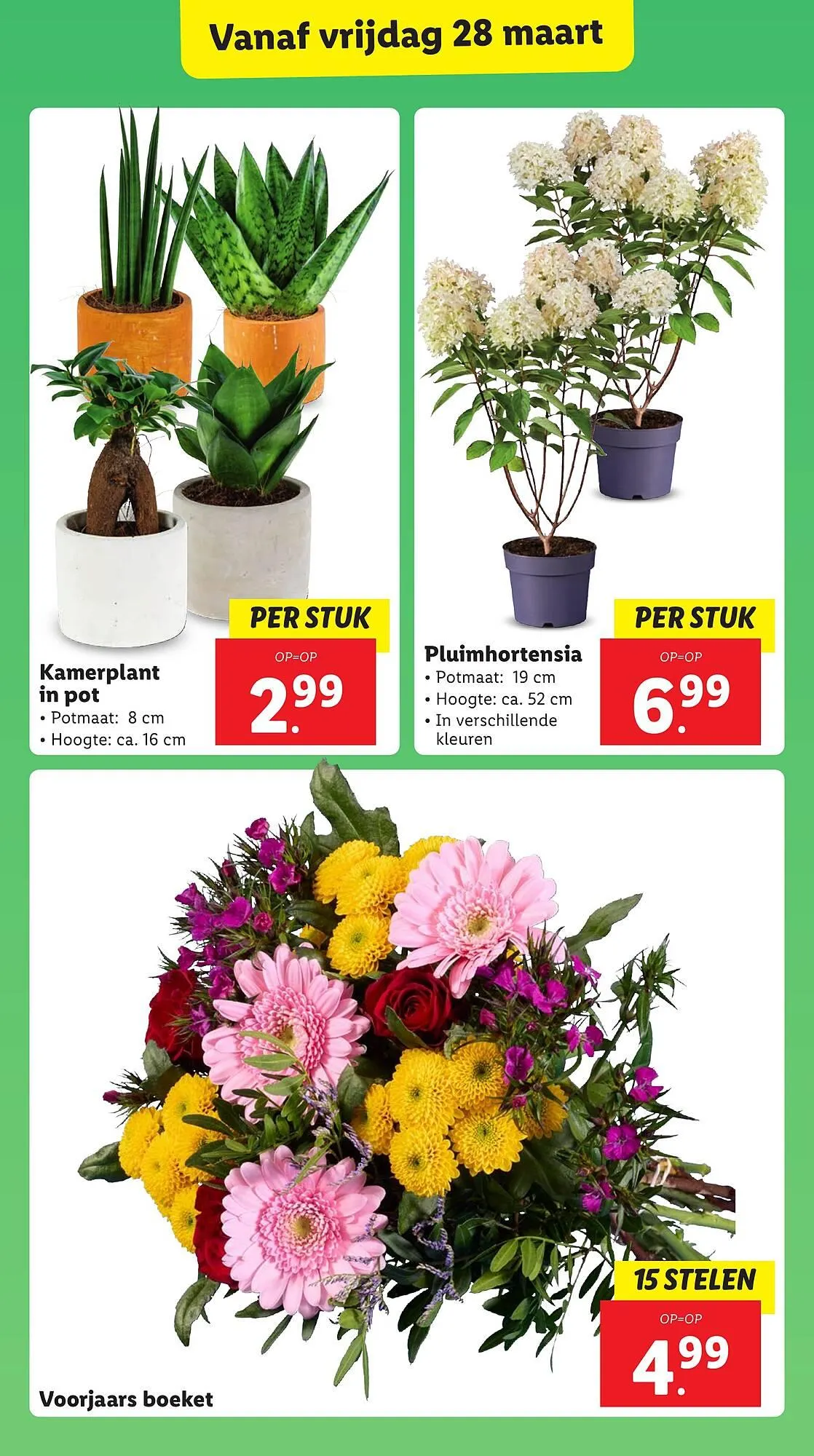 Lidl folder van 24 maart tot 30 maart 2025 - Folder pagina 25