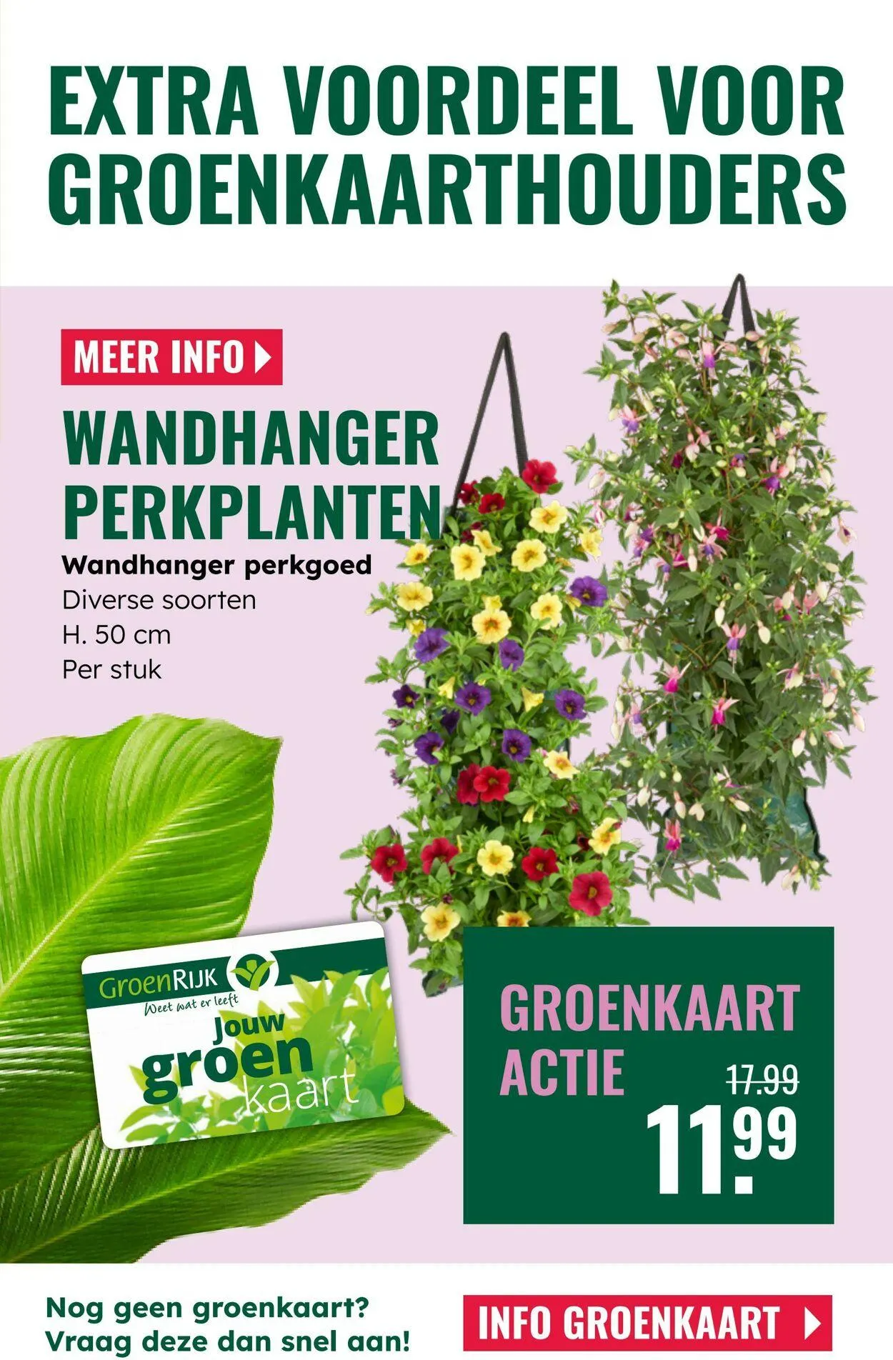 GroenRijk Actuele folder van 8 juli tot 22 juli 2025 - Folder pagina 11