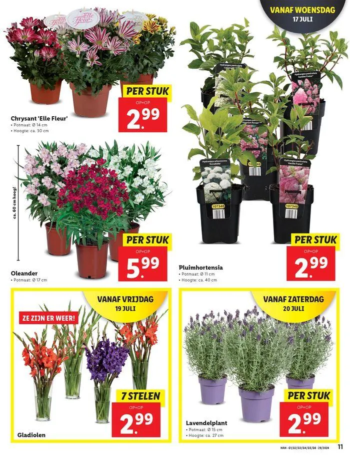 Actuele speciale acties van 11 juli tot 24 juli 2024 - Folder pagina 13