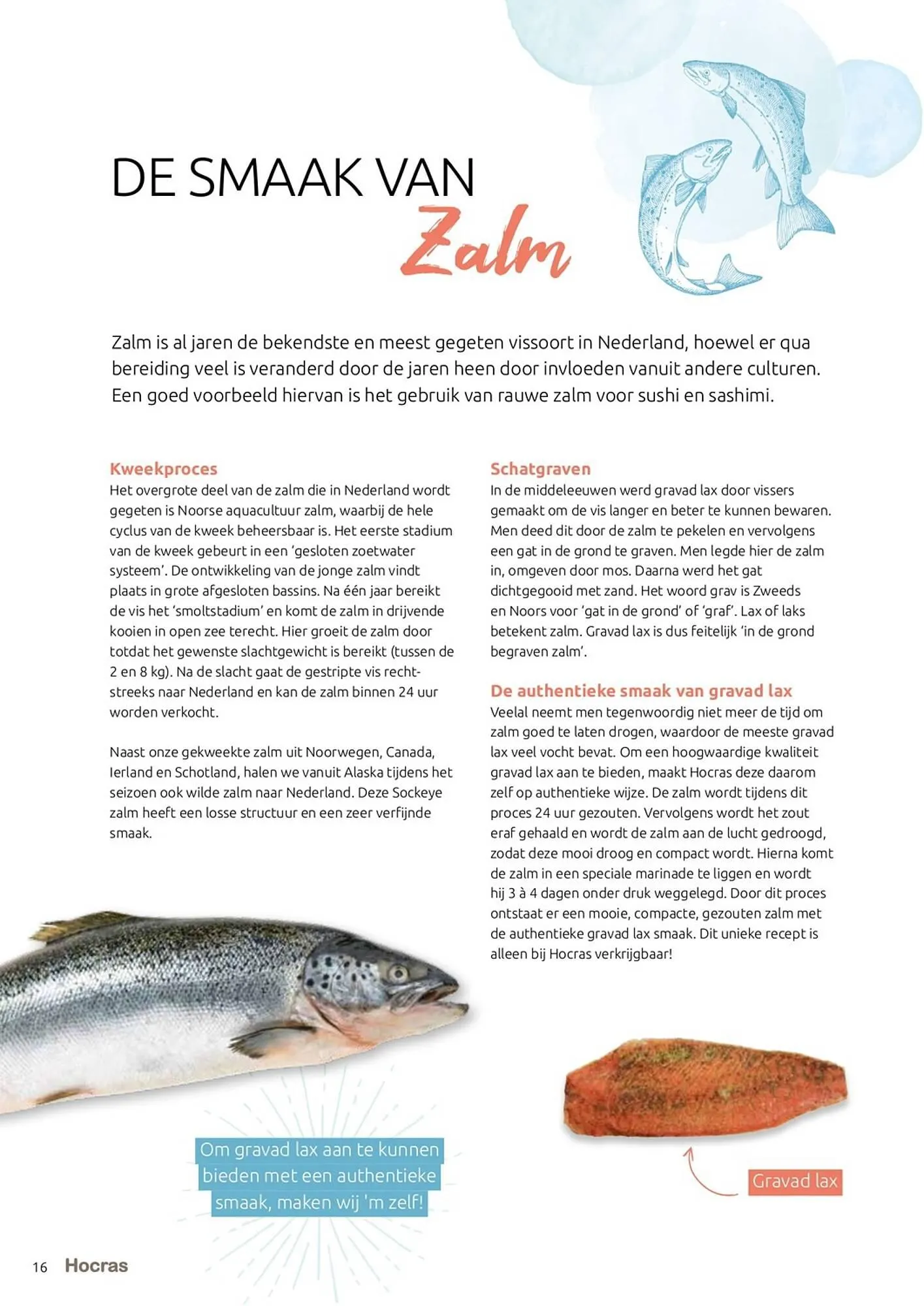 Hocras folder van 15 februari tot 31 december 2023 - Folder pagina 16