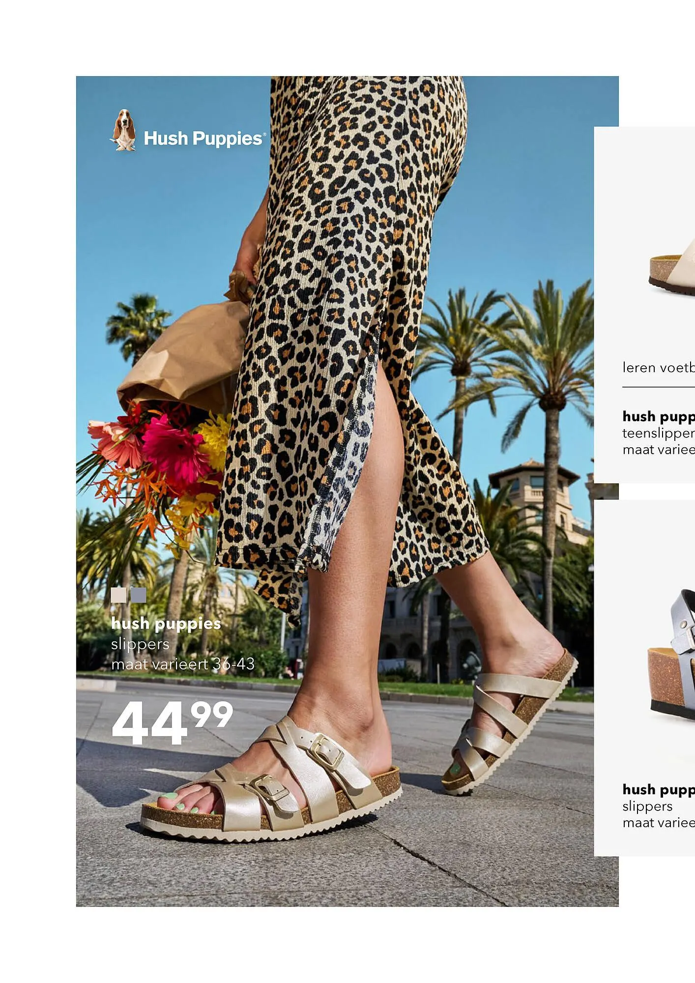 Scapino folder van 8 mei tot 29 juni 2025 - Folder pagina 4