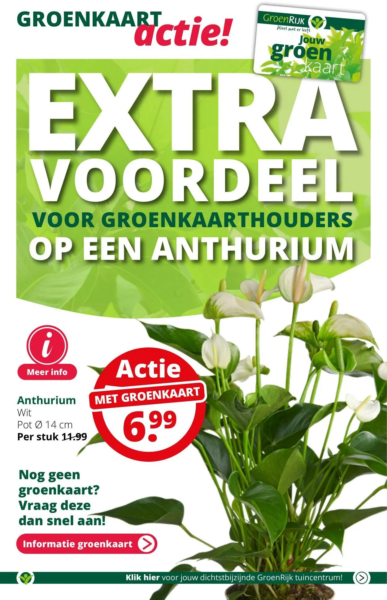 GroenRijk Actuele folder van 21 januari tot 4 februari 2025 - Folder pagina 13