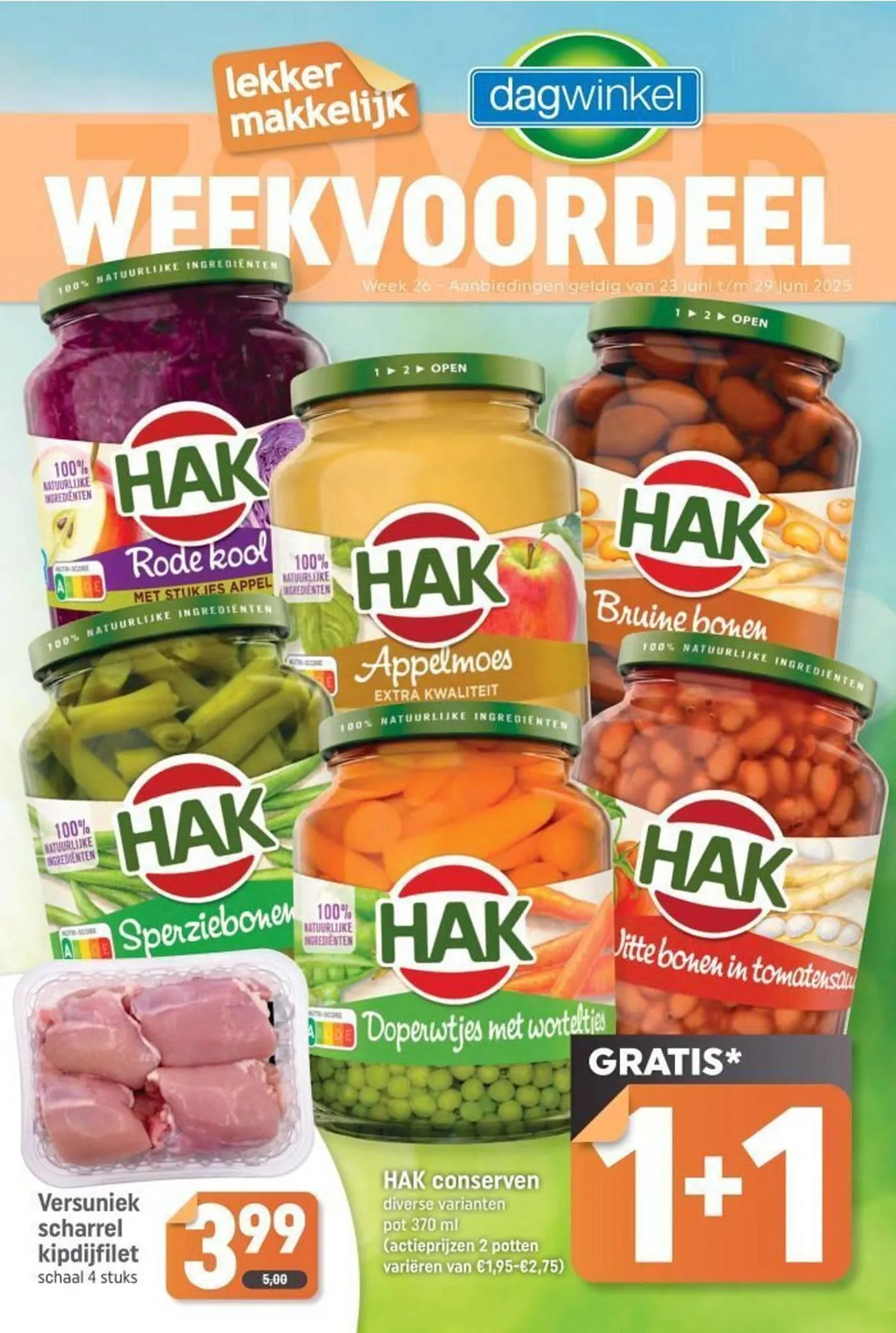 Dagwinkel folder - 1