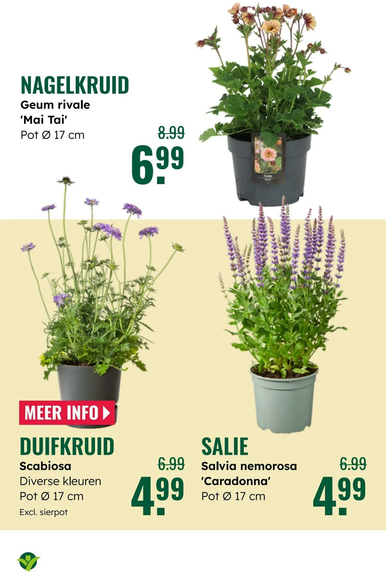 GroenRijk Actuele folder van 5 augustus tot 19 augustus 2025 - Folder pagina 17