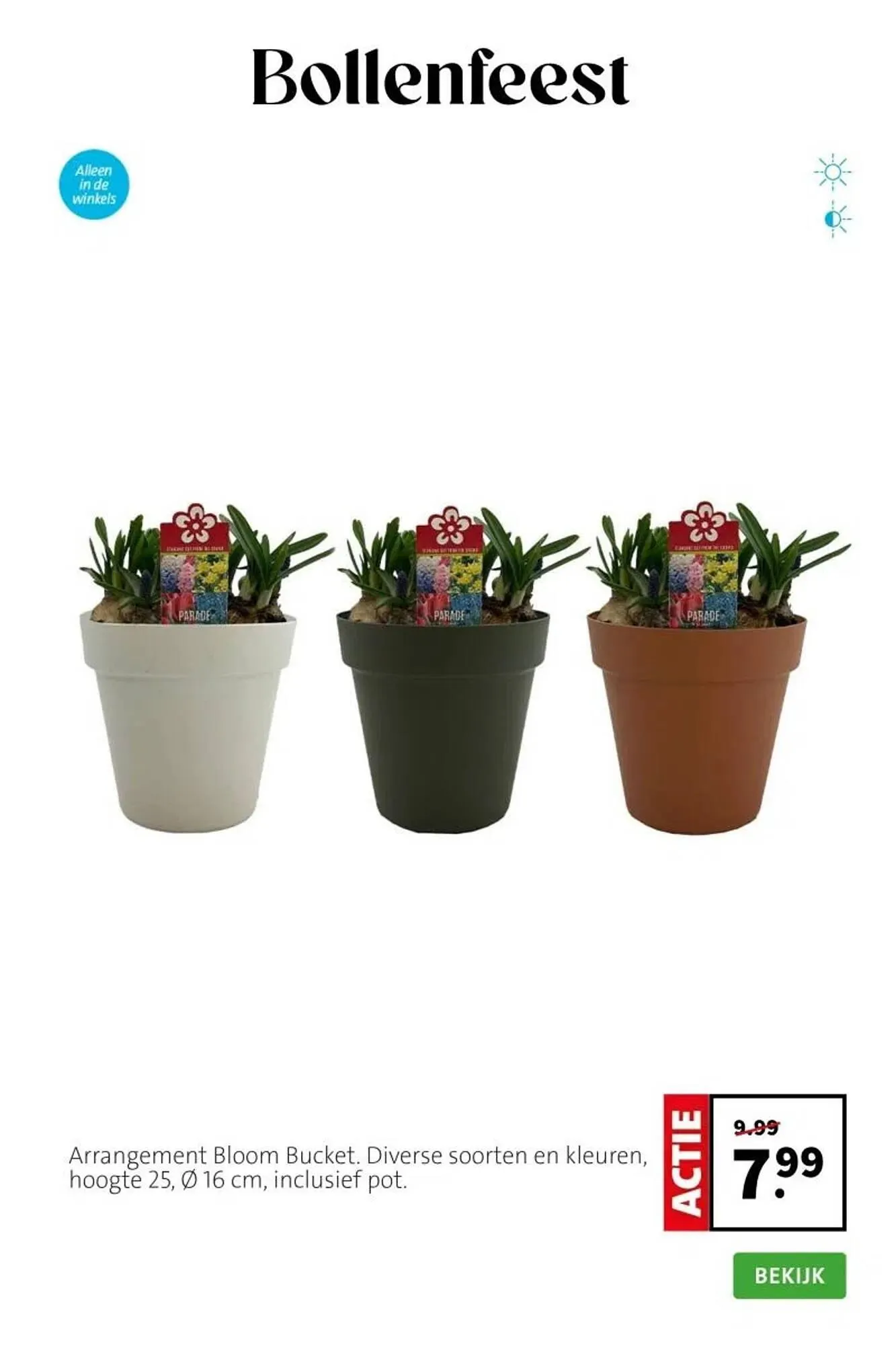 Intratuin folder van 9 maart tot 15 maart 2026 - Folder pagina 5