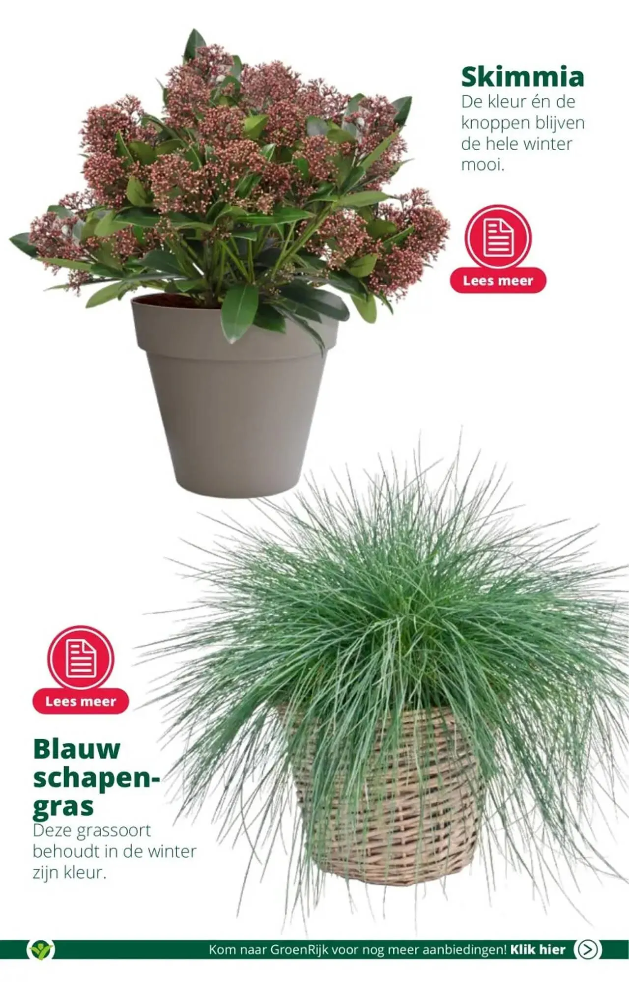 GroenRijk folder van 13 september tot 19 september 2023 - Folder pagina 5