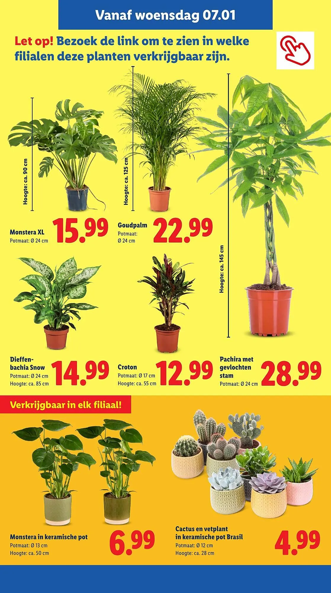 Lidl folder van 5 januari tot 10 januari 2026 - Folder pagina 17