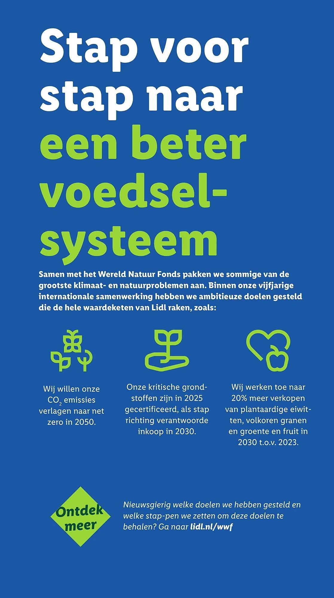 Lidl folder van 11 augustus tot 18 augustus 2025 - Folder pagina 36