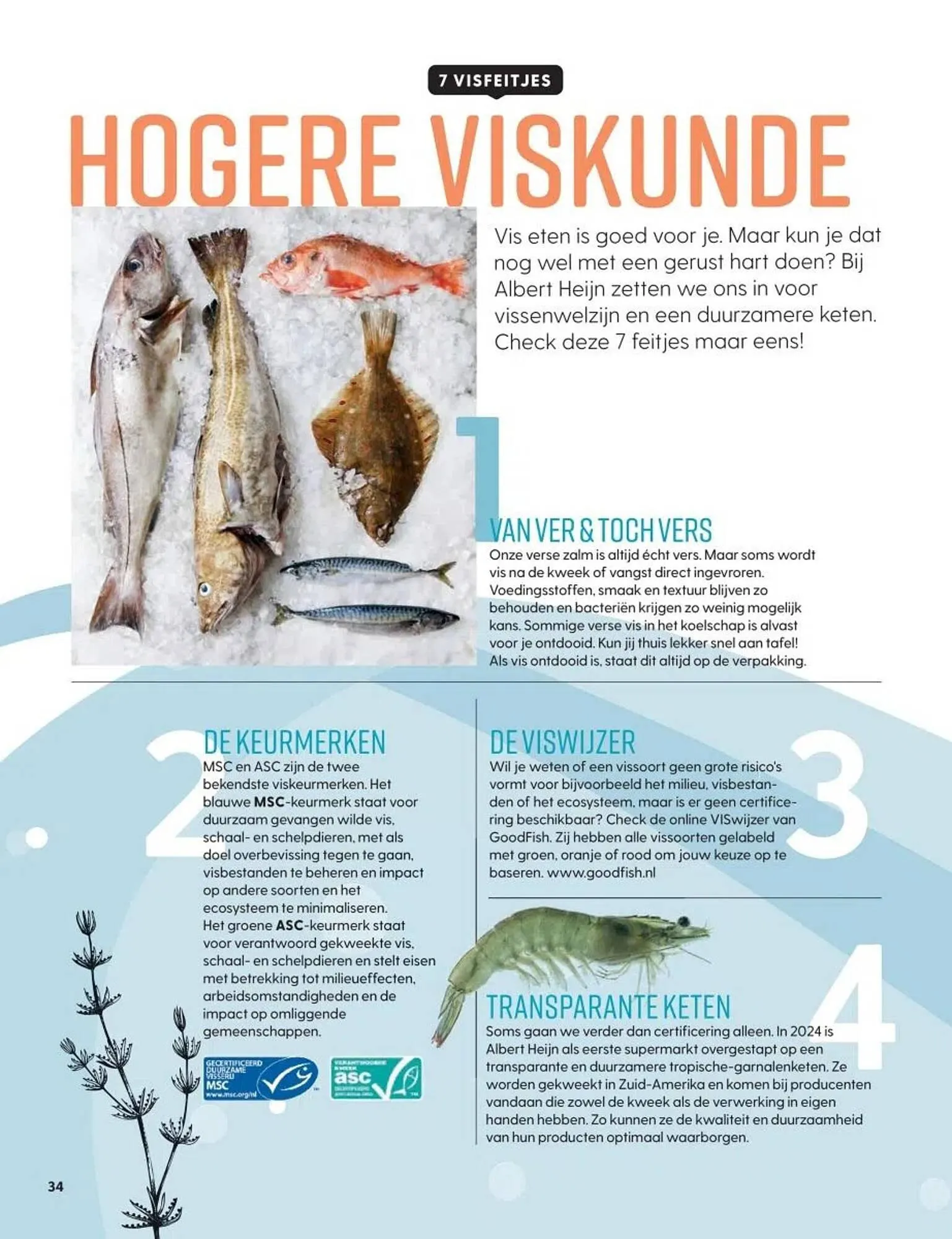 Albert Heijn folder van 19 mei tot 16 juni 2025 - Folder pagina 34