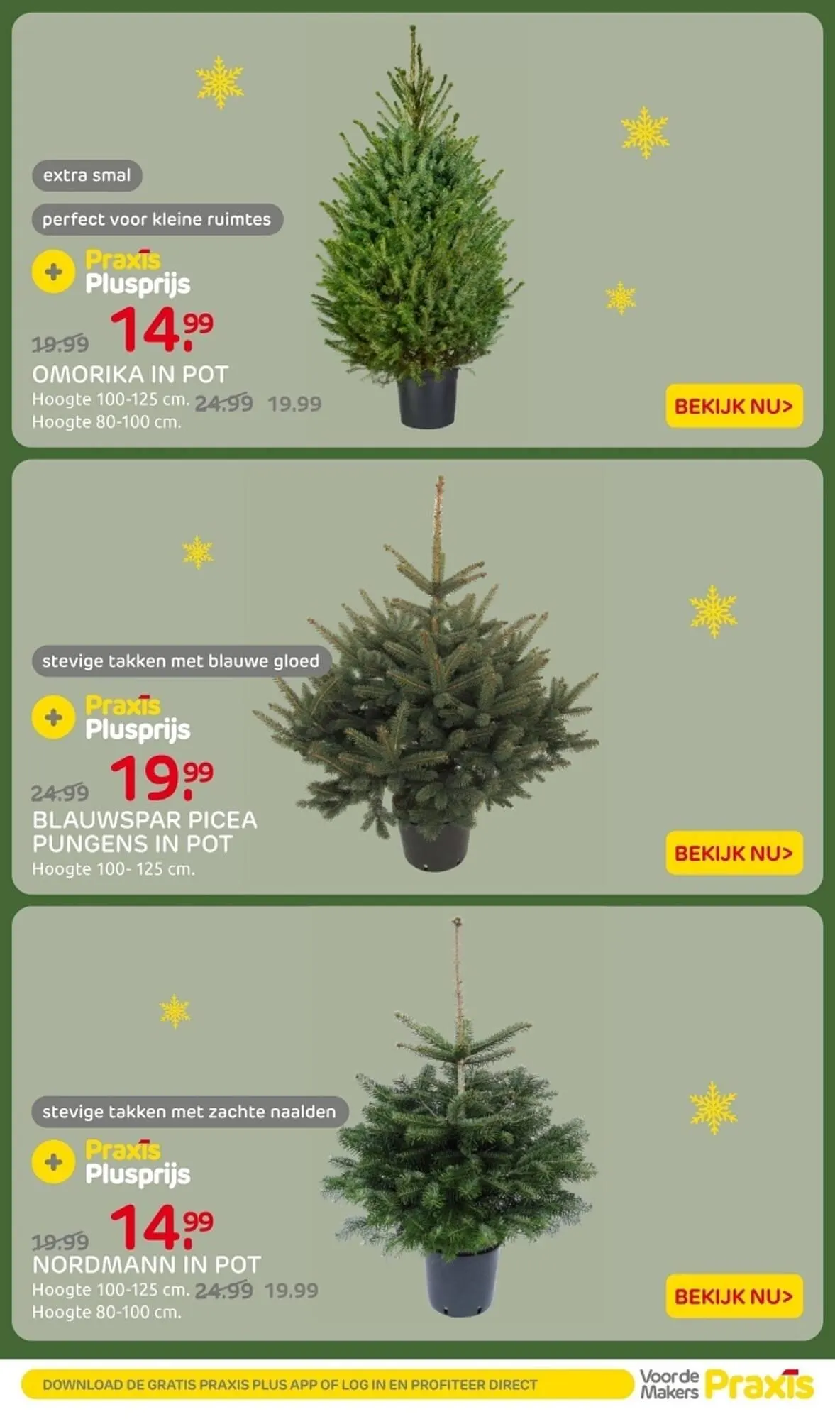 Praxis folder van 8 december tot 14 december 2025 - Folder pagina 3