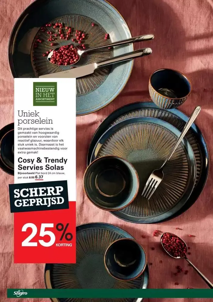 Topaanbiedingen voor alle koopjesjagers van 2 januari tot 20 januari 2025 - Folder pagina 17