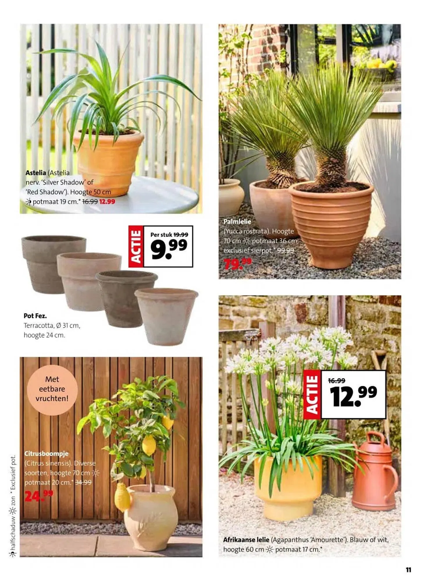 Intratuin folder van 13 april tot 19 april 2026 - Folder pagina 11