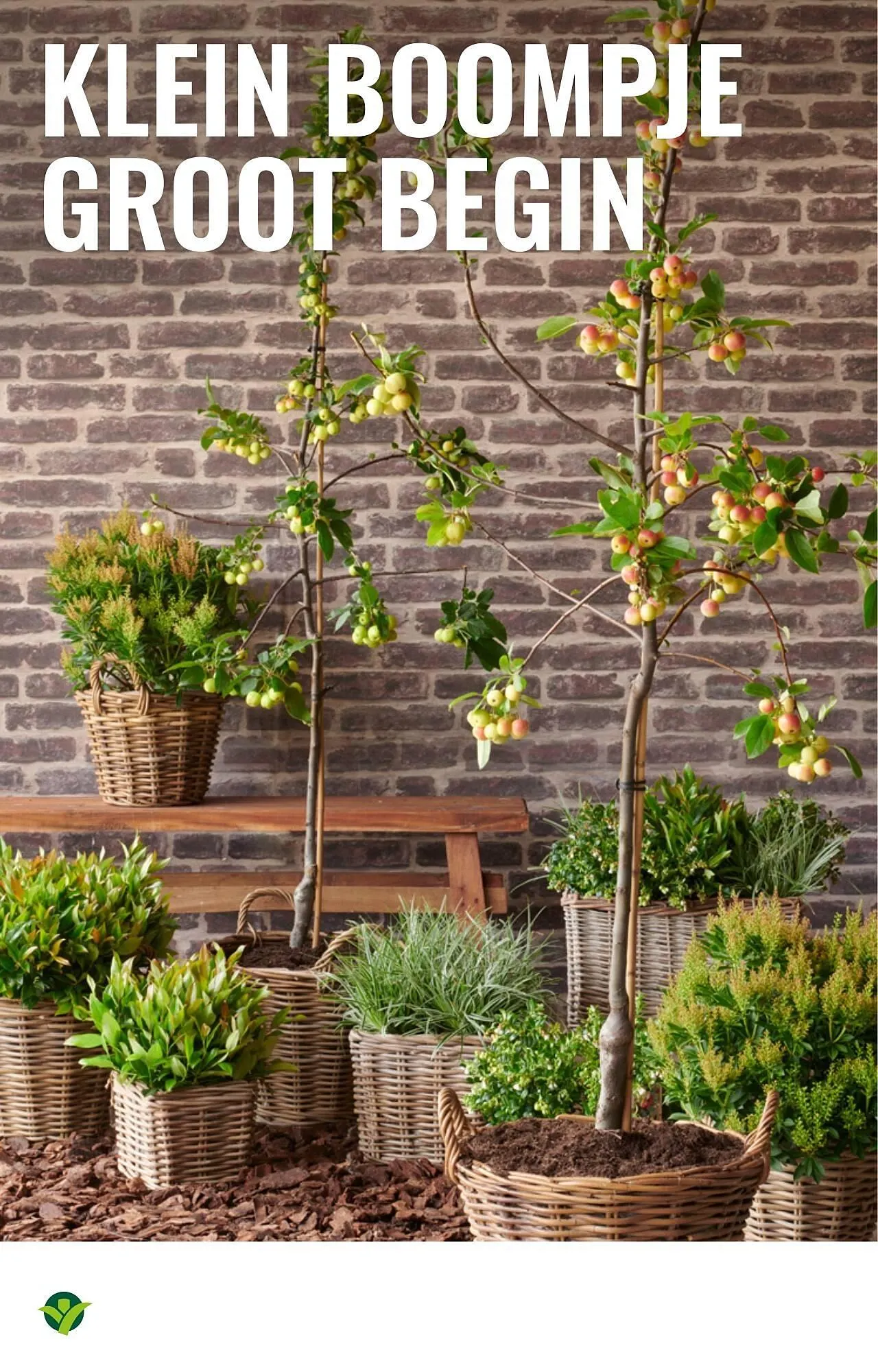 GroenRijk folder van 1 oktober tot 7 oktober 2025 - Folder pagina 16