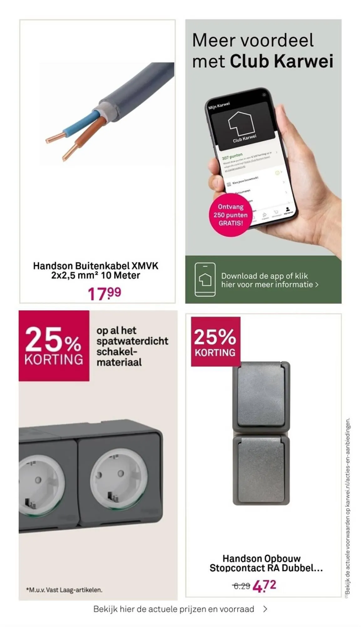 Karwei folder van 26 februari tot 3 maart 2024 - Folder pagina 11