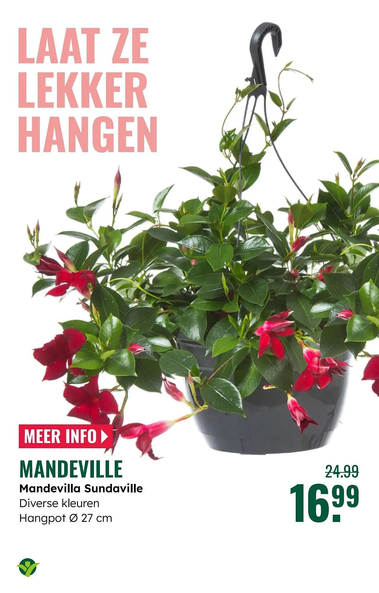 GroenRijk folder van 7 mei tot 13 mei 2025 - Folder pagina 13