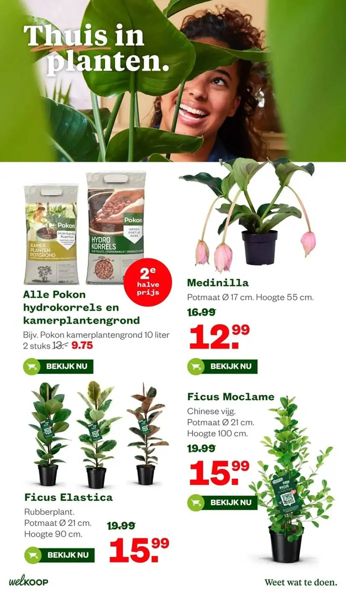 Welkoop folder van 19 januari tot 1 februari 2026 - Folder pagina 14