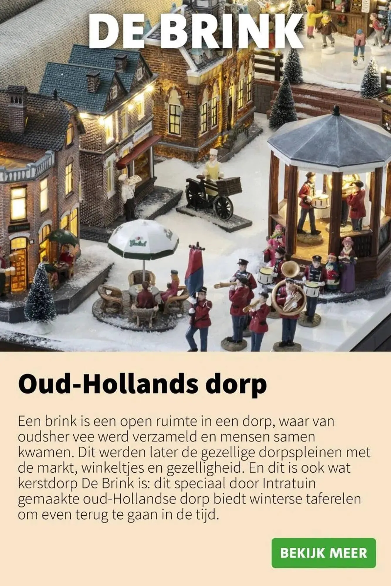 Intratuin folder van 9 oktober tot 24 december 2025 - Folder pagina 2