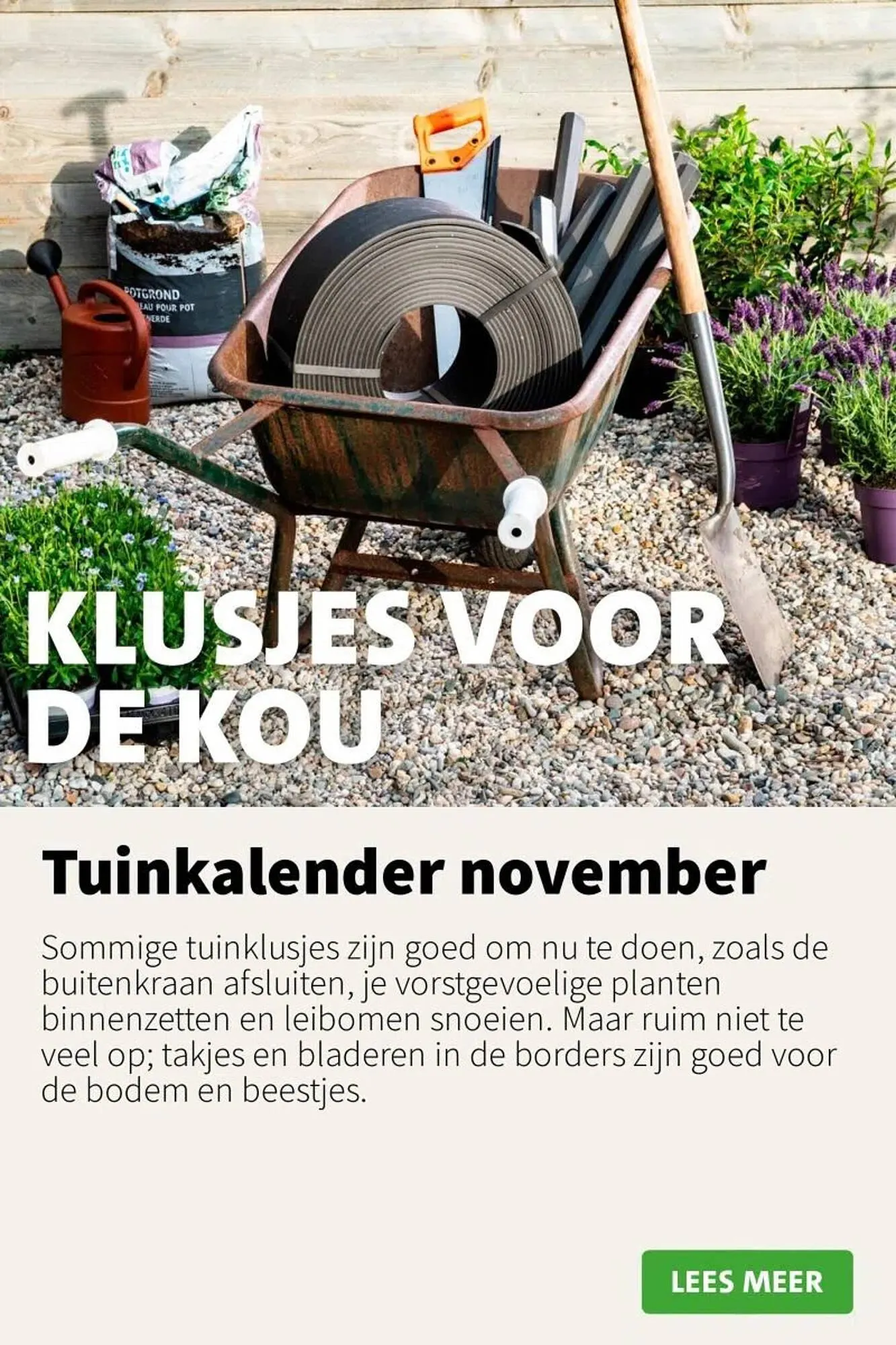 Intratuin folder van 10 november tot 16 november 2025 - Folder pagina 5