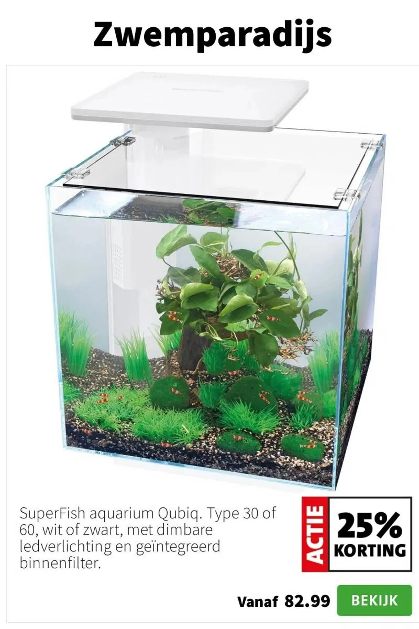 Intratuin folder van 5 januari tot 11 januari 2026 - Folder pagina 10