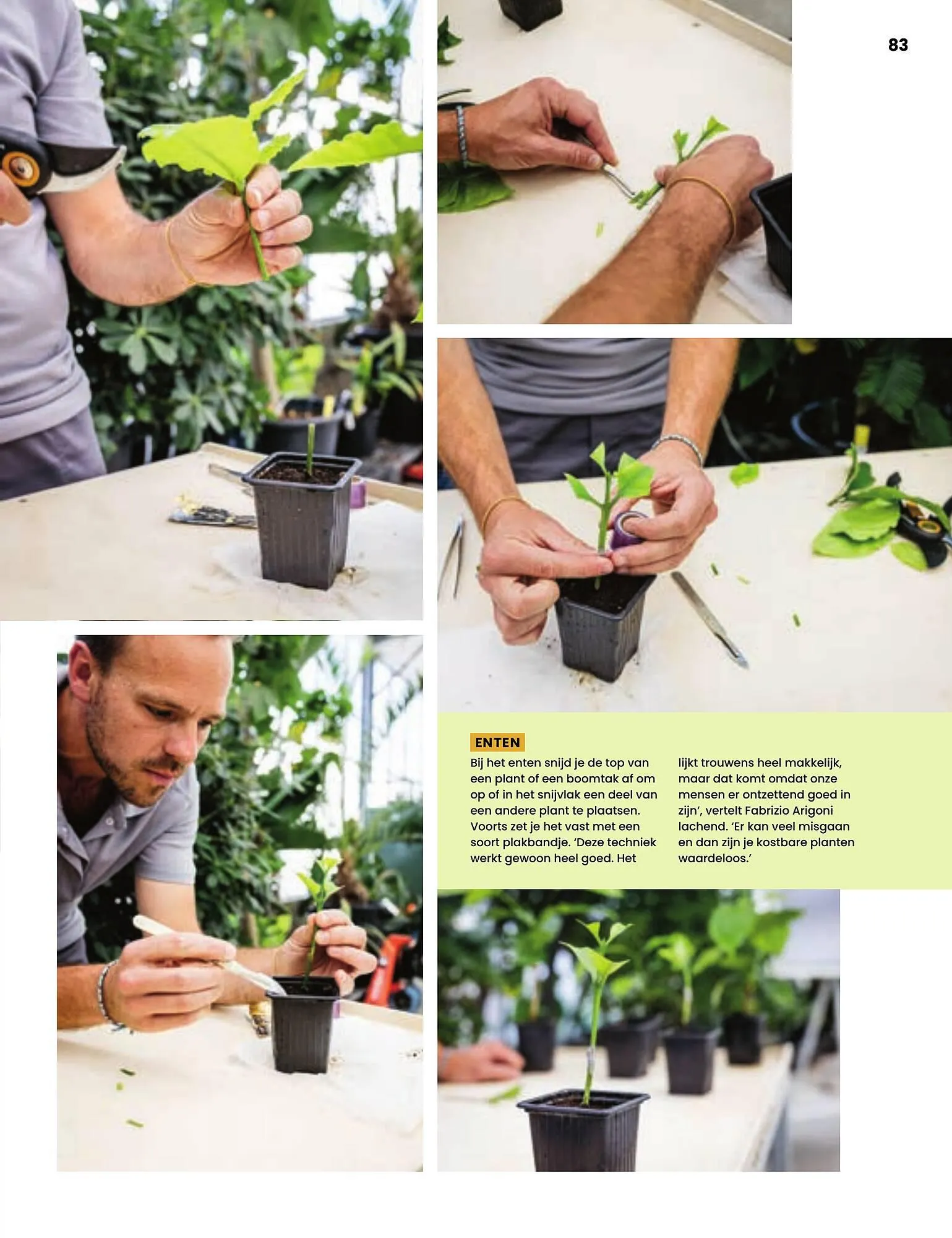 BOON magazine van 1 oktober tot 31 december 2023 - Folder pagina 83