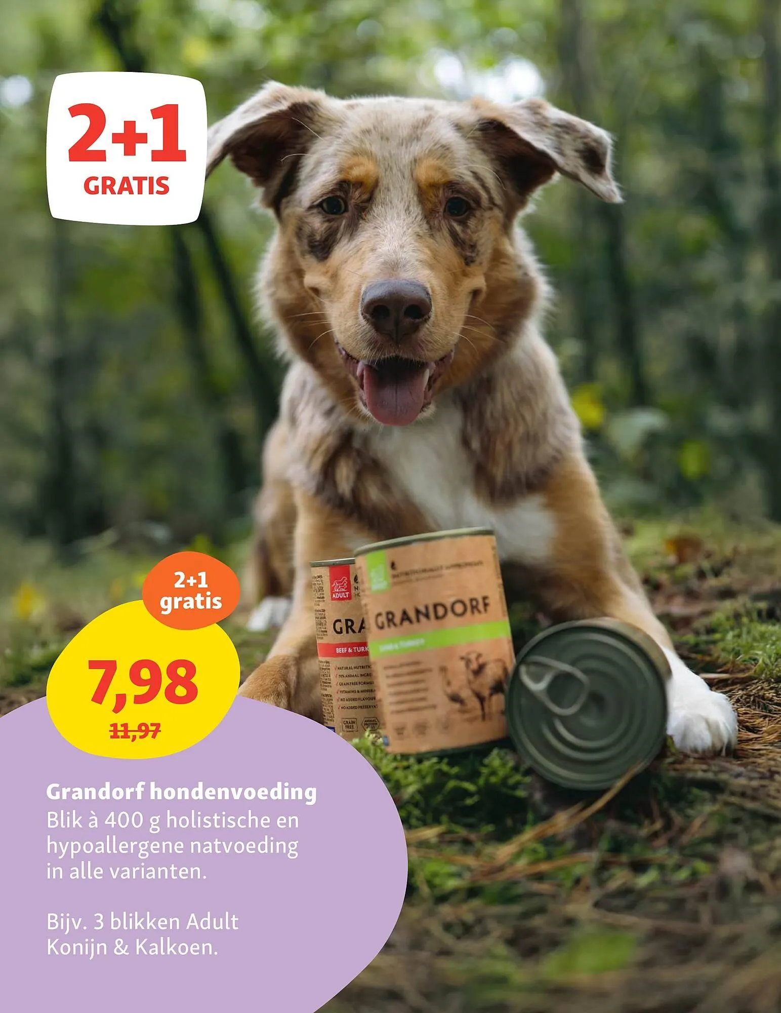 Maxi Zoo folder van 28 april tot 4 mei 2025 - Folder pagina 6