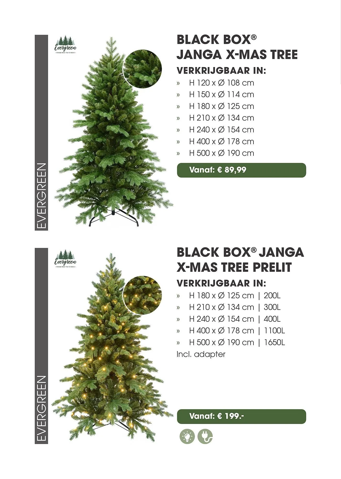 Coppelmans kerstbomencatalogus van 12 november tot 24 december 2025 - Folder pagina 13