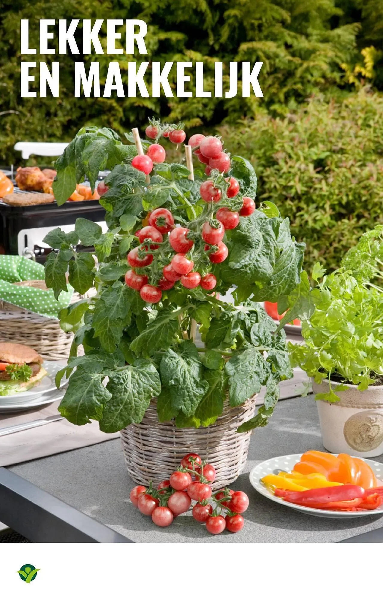 GroenRijk folder van 28 mei tot 3 juni 2025 - Folder pagina 14