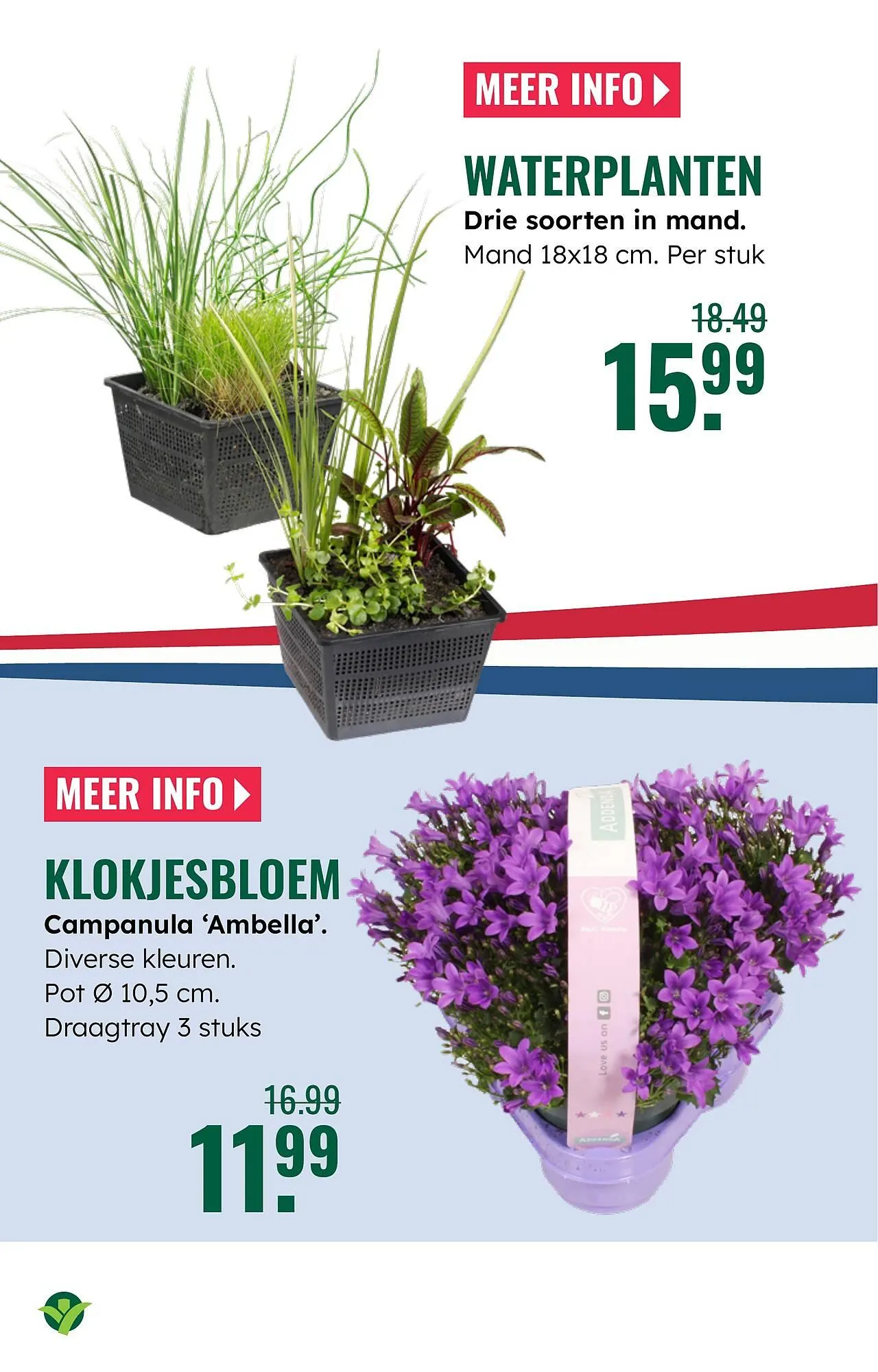 GroenRijk folder van 23 april tot 29 april 2026 - Folder pagina 17